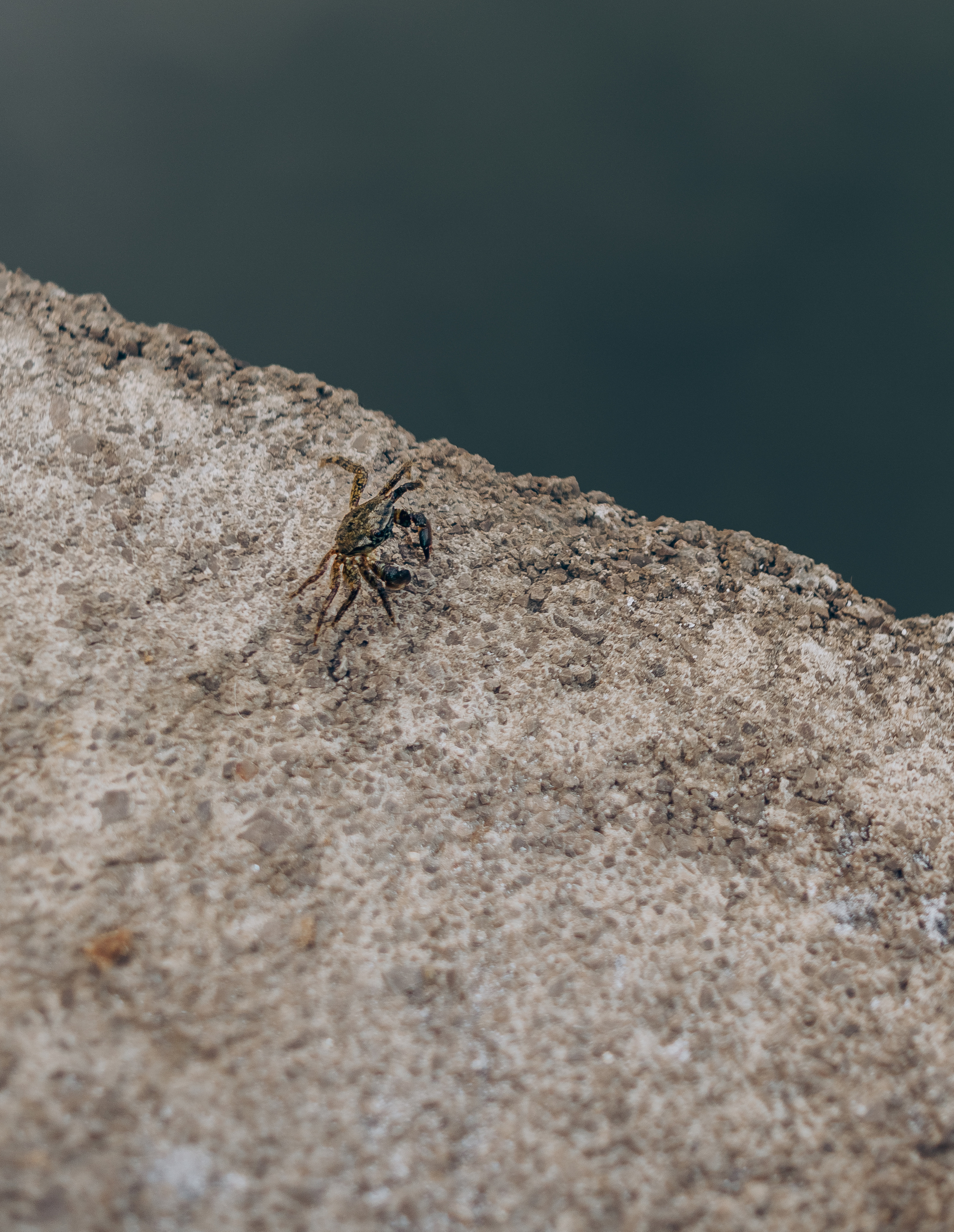 Mom and son. Фотограф у Пальма де Майорка