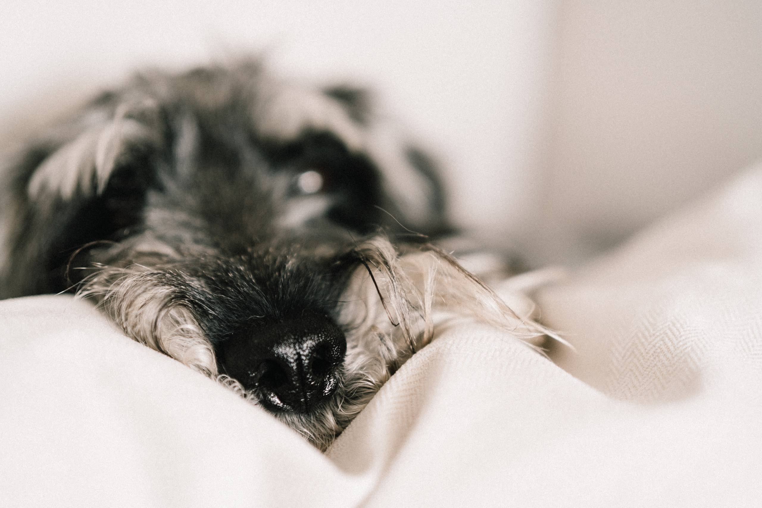 Family memories: at home and in nature. Фотограф у Пальма де Майорка