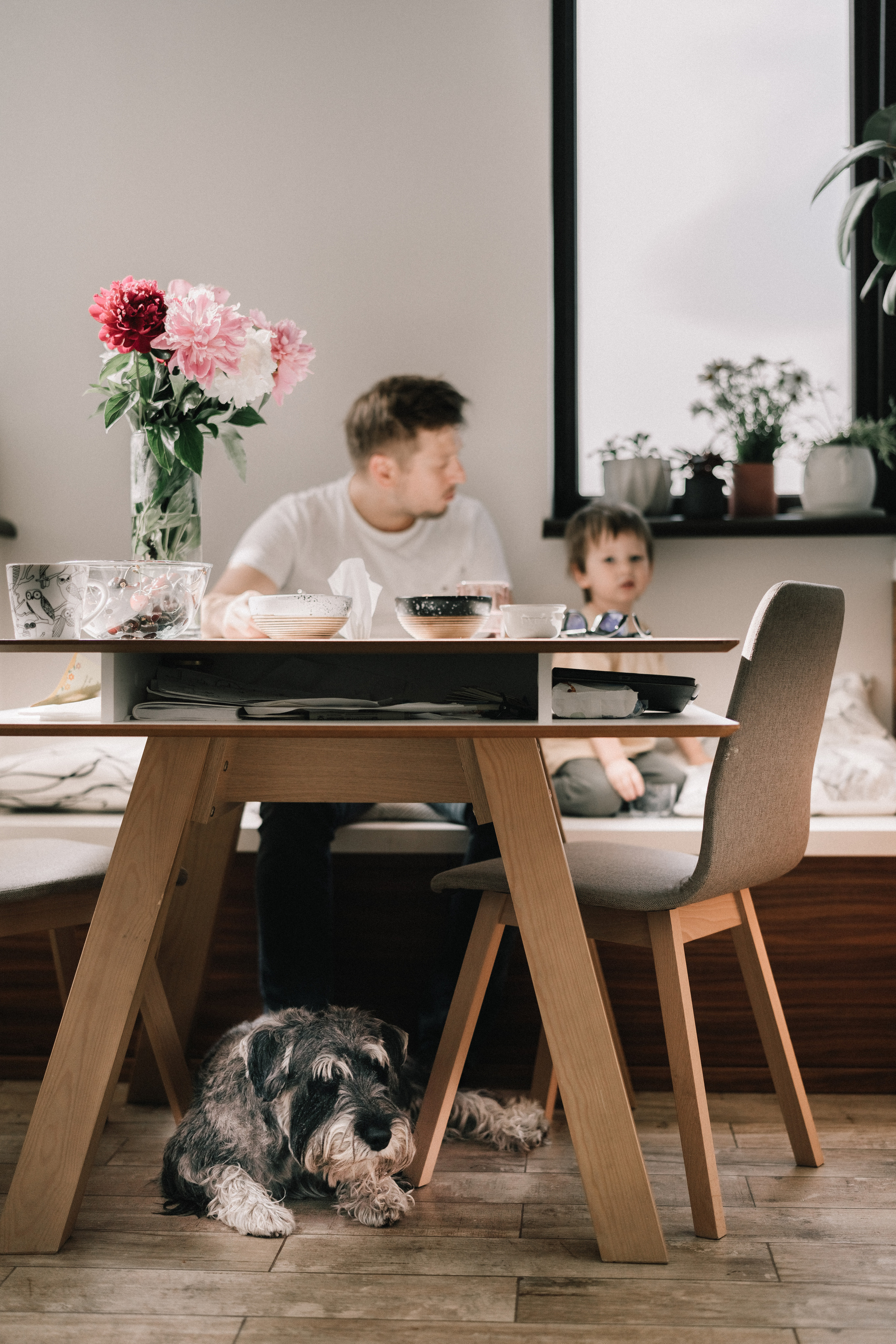 Family memories: at home and in nature. Фотограф у Пальма де Майорка