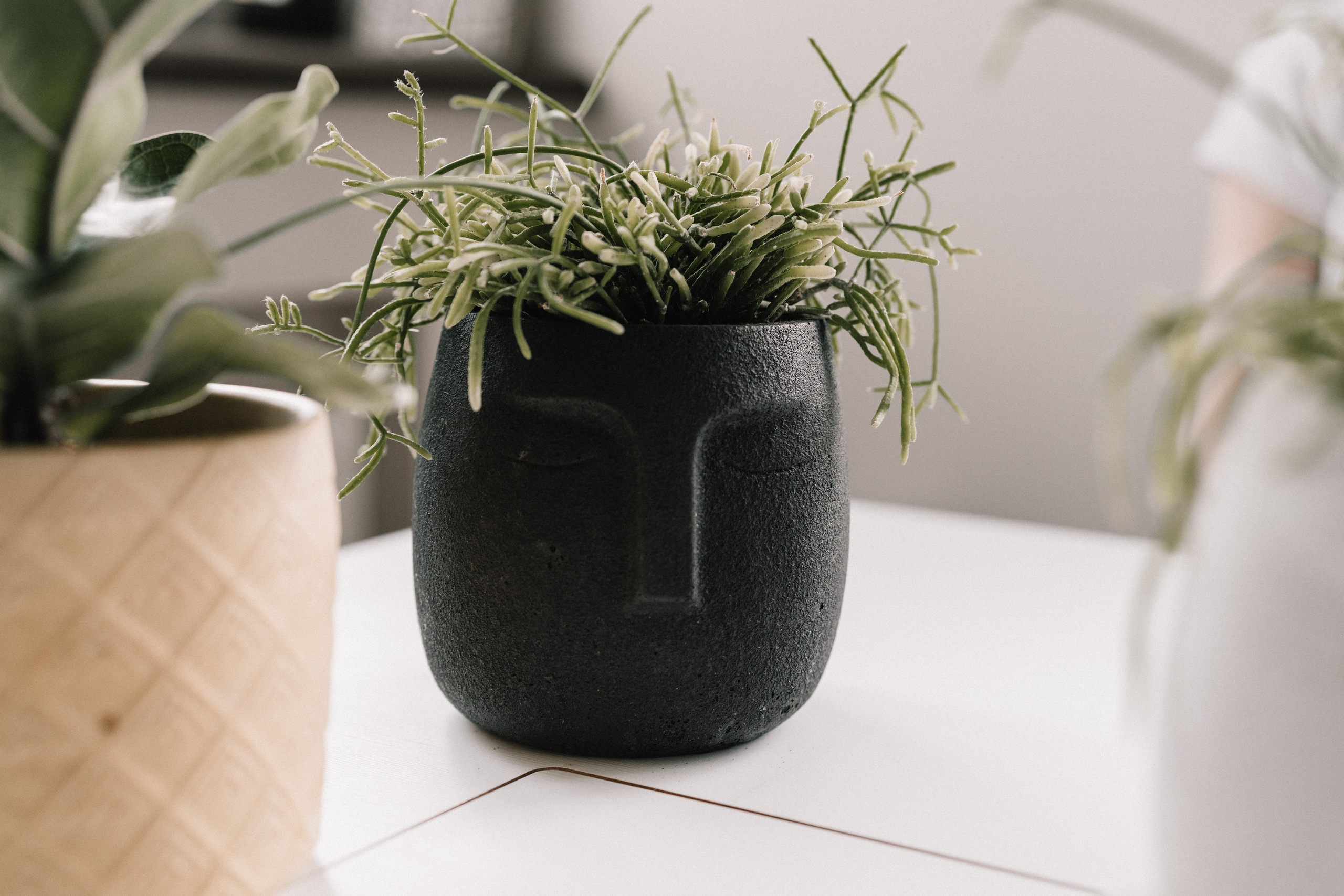 Family memories: at home and in nature. Фотограф у Пальма де Майорка