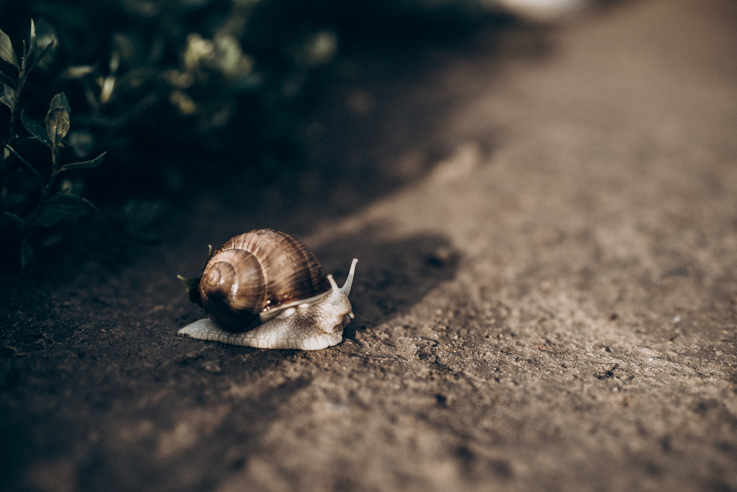 Family memories: at home and in nature. Фотограф у Пальма де Майорка