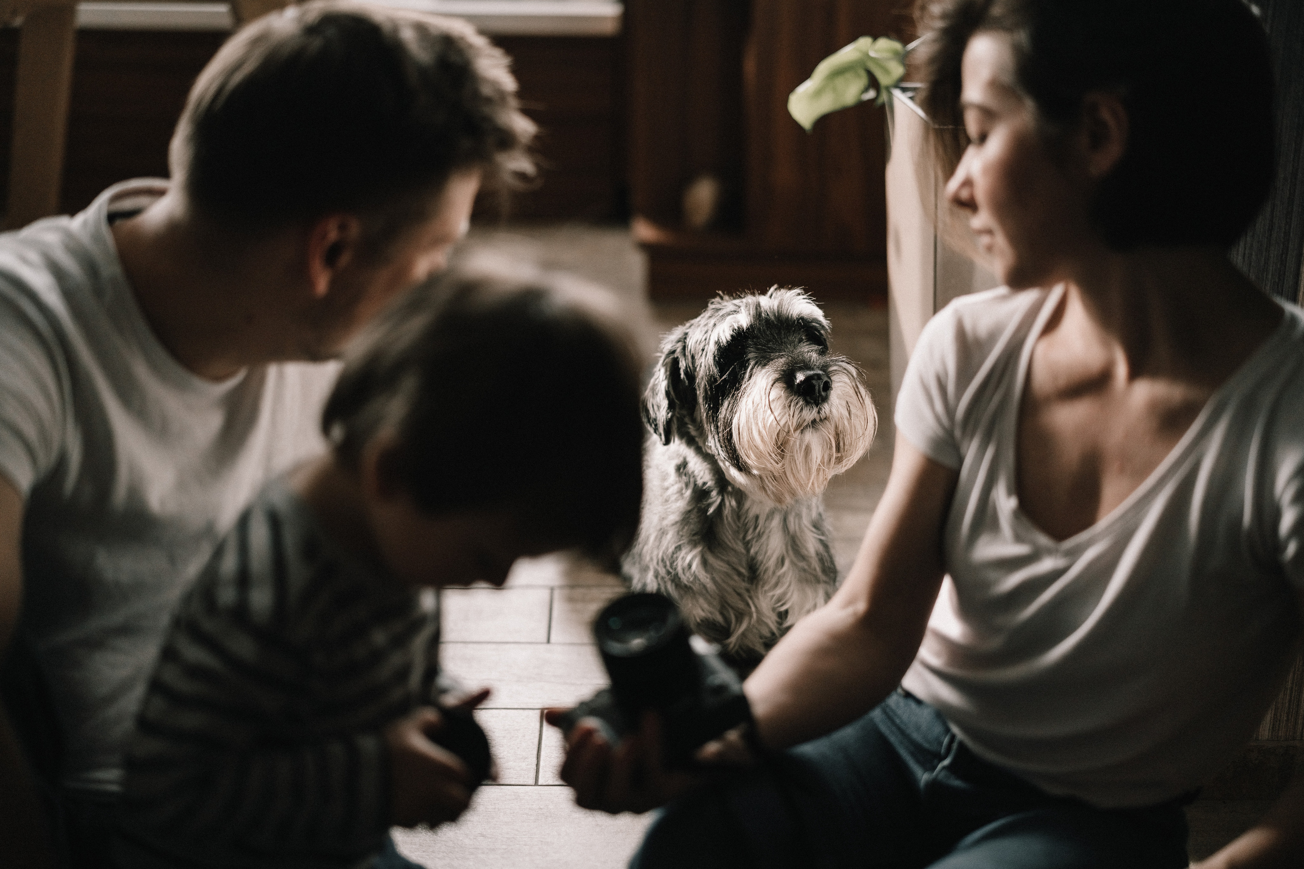 Family memories: at home and in nature. Фотограф у Пальма де Майорка