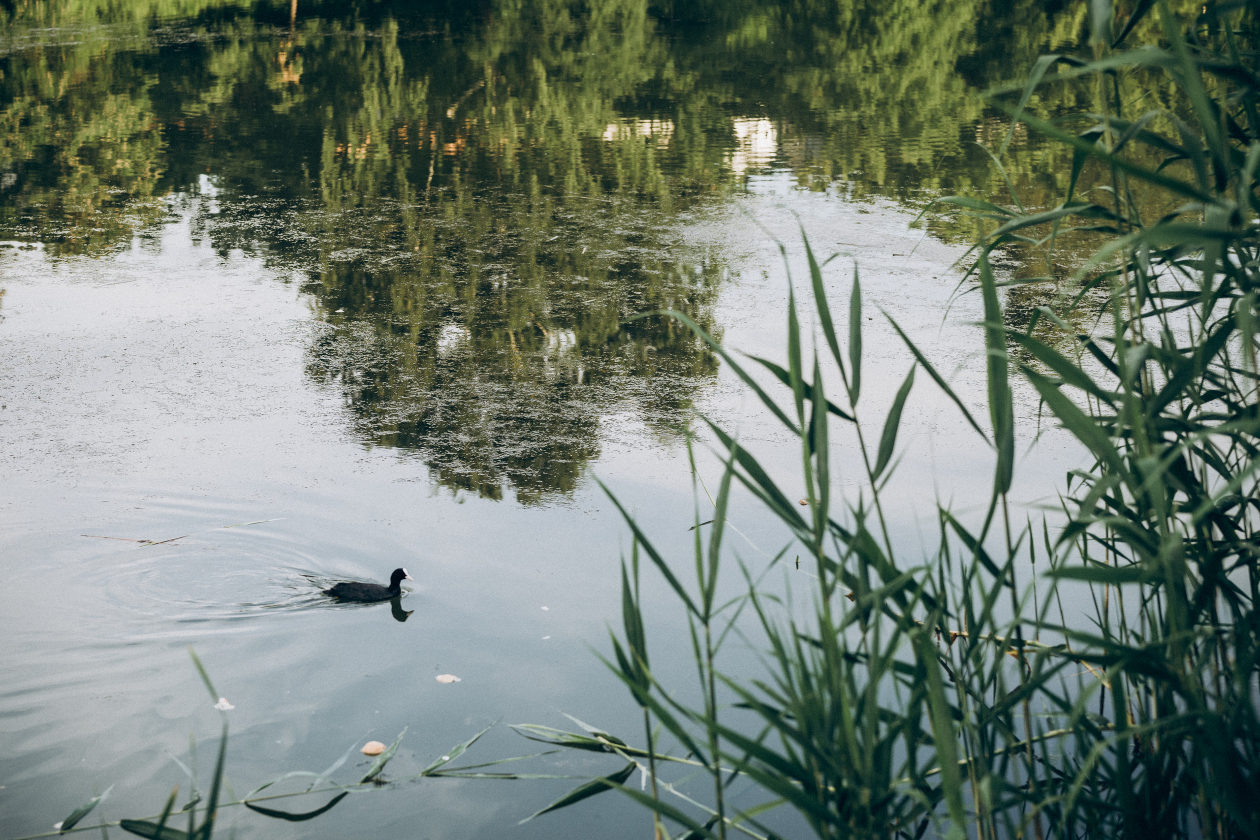 Family memories: at home and in nature. Фотограф у Пальма де Майорка