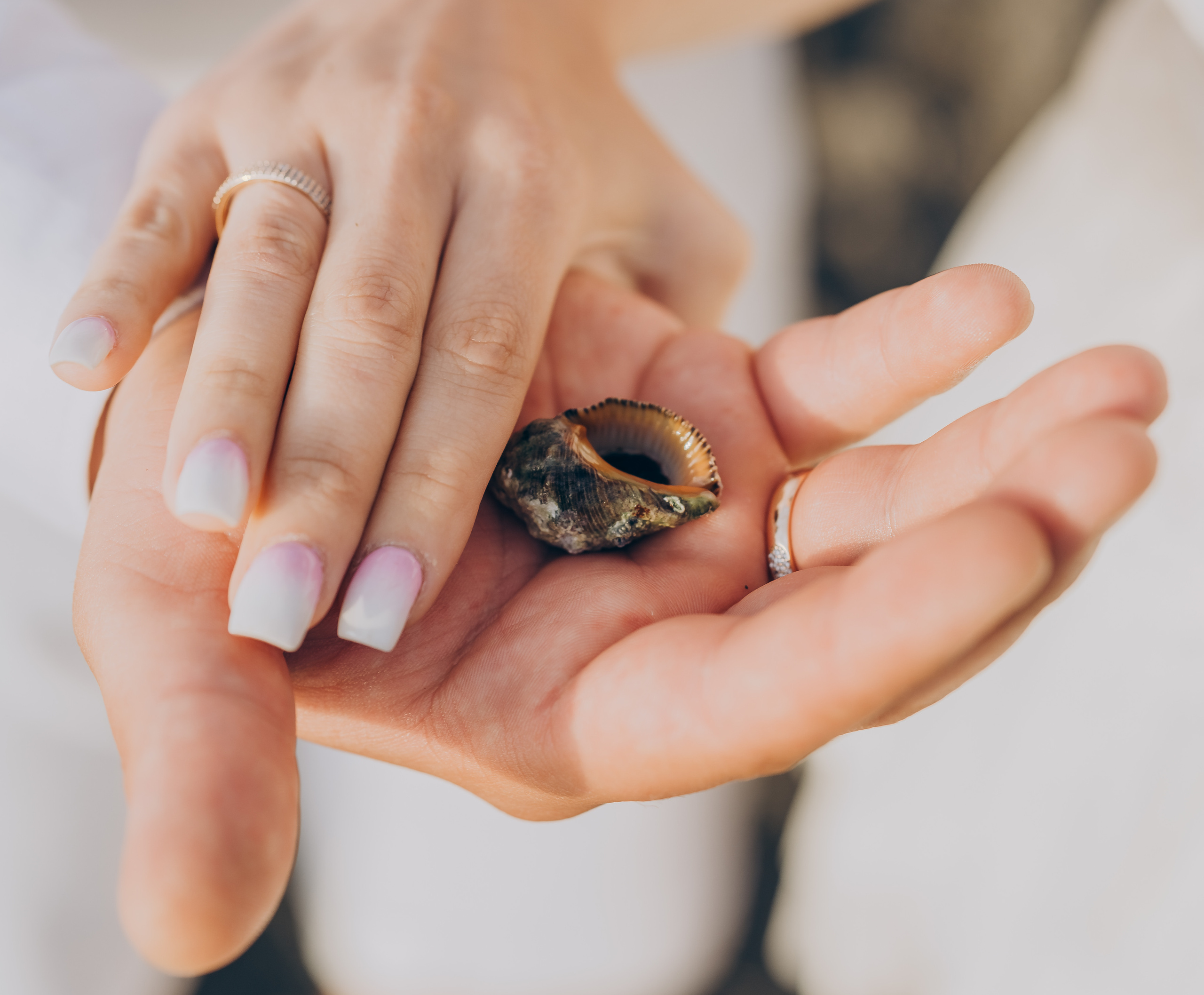 Wedding of Alina & Nikolay. Фотограф у Пальма де Майорка