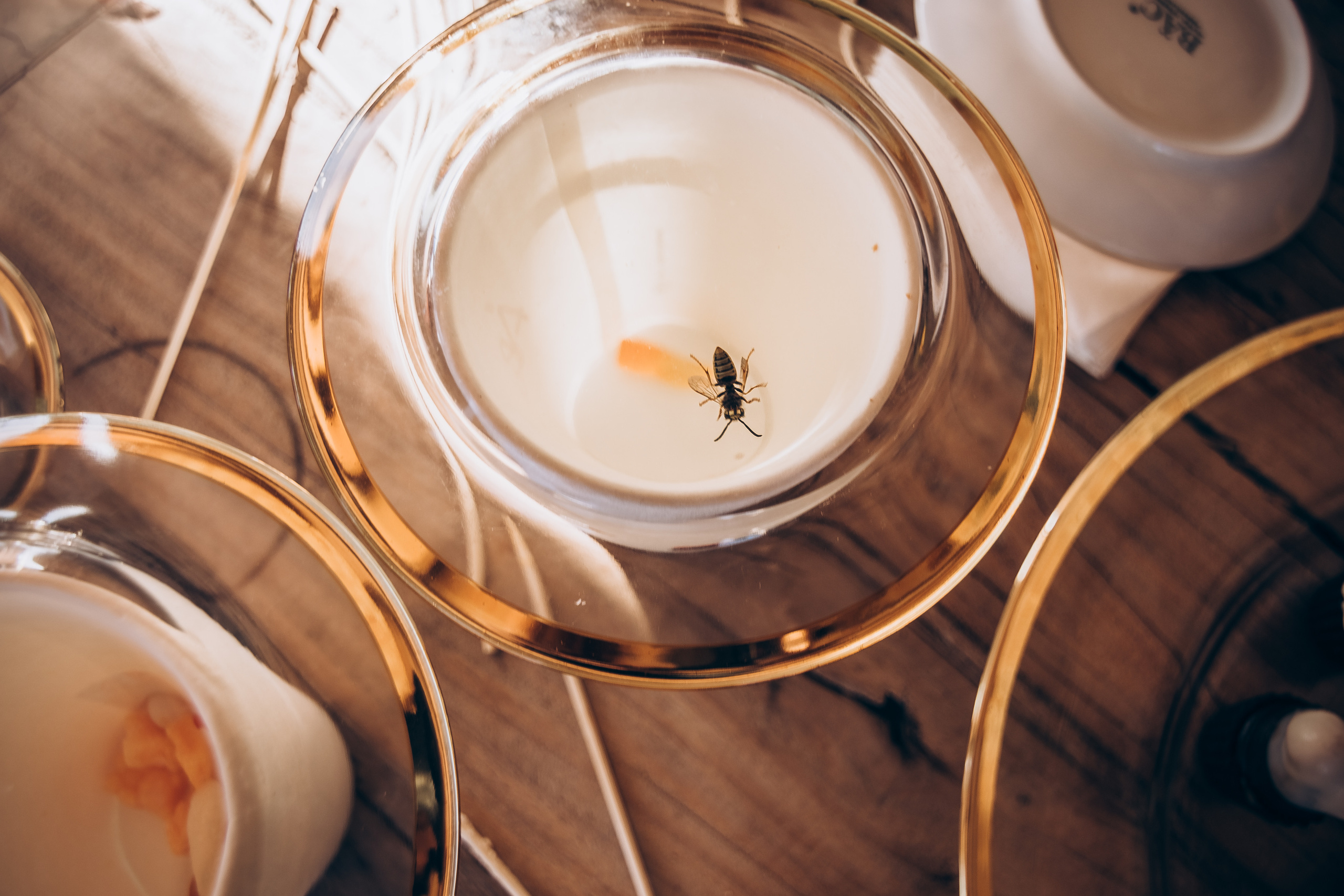 The sacrament is a family holiday. Фотограф у Пальма де Майорка