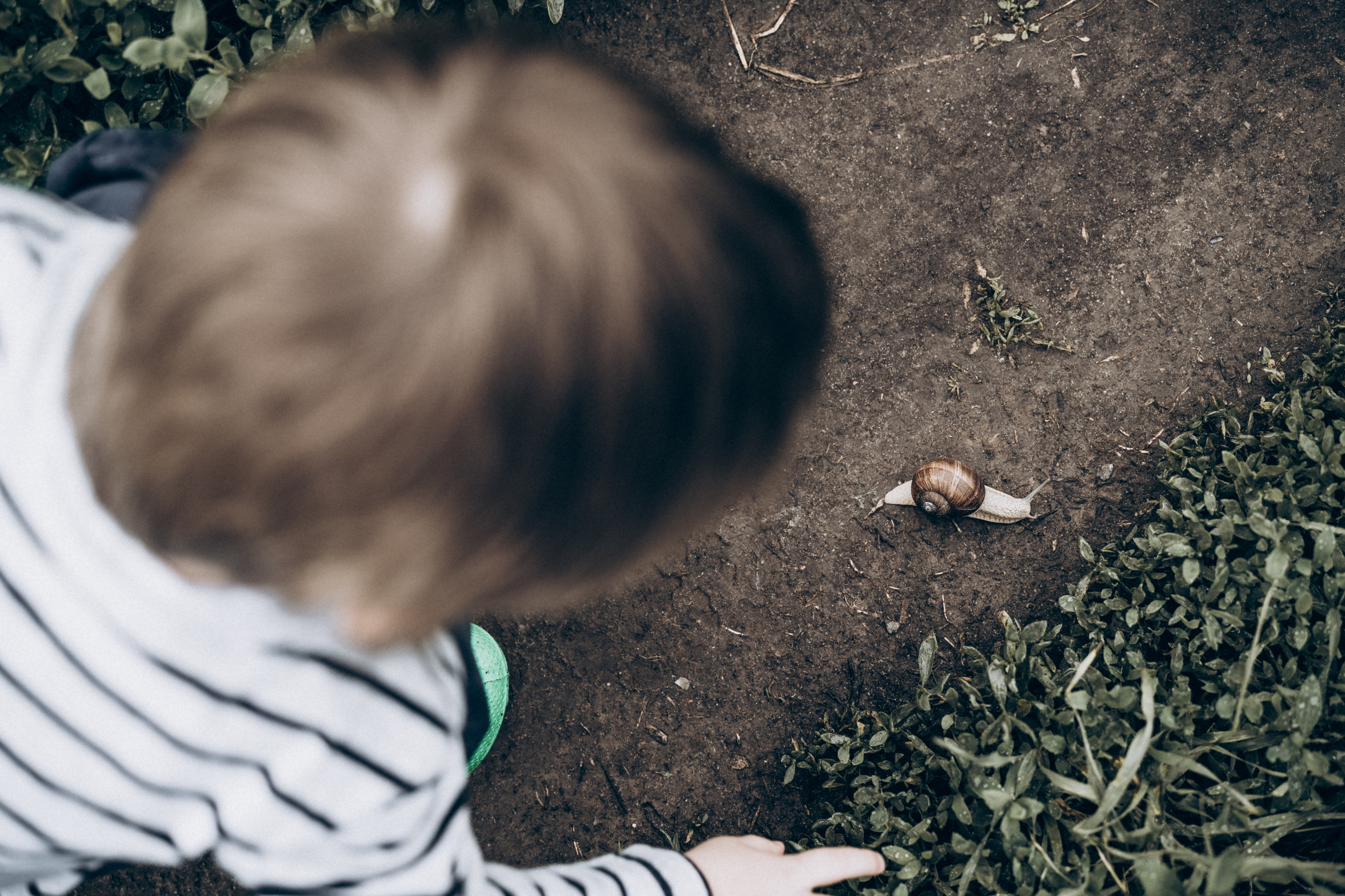 Family memories: at home and in nature. Фотограф у Пальма де Майорка