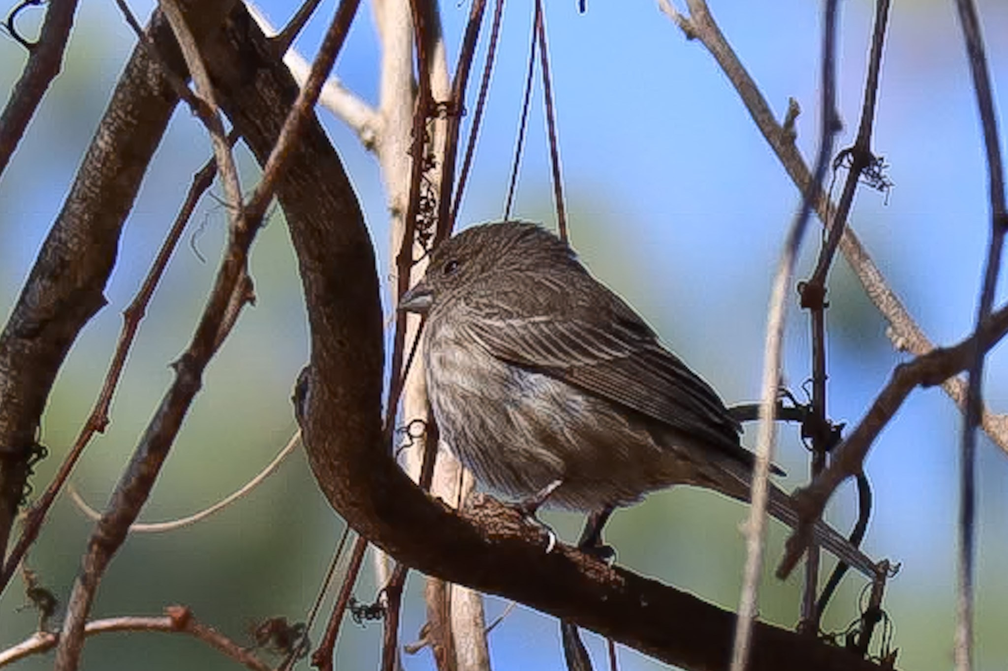 Travel + Nature. Travel and family photographer in South Carolina