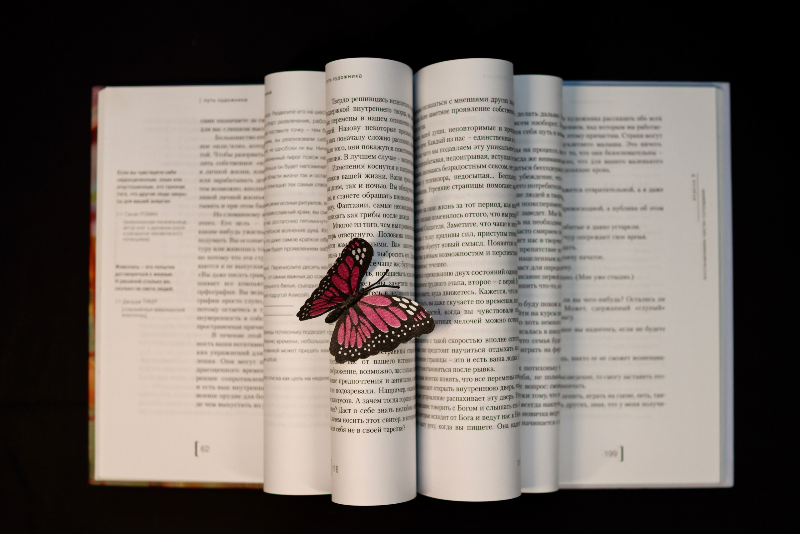 Предметная съемка. Фотограф Таня Уорд Бидефорд Пермь Эксетер Плимут Лондон