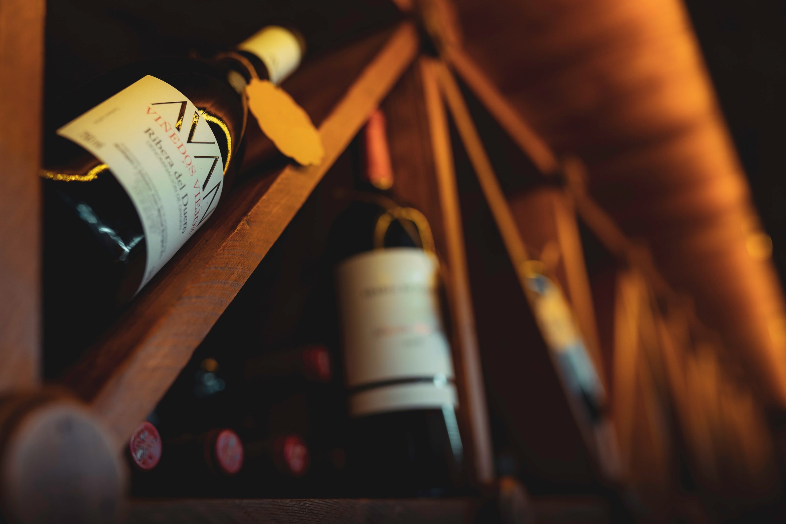 RESEÑAS. Baby Beast