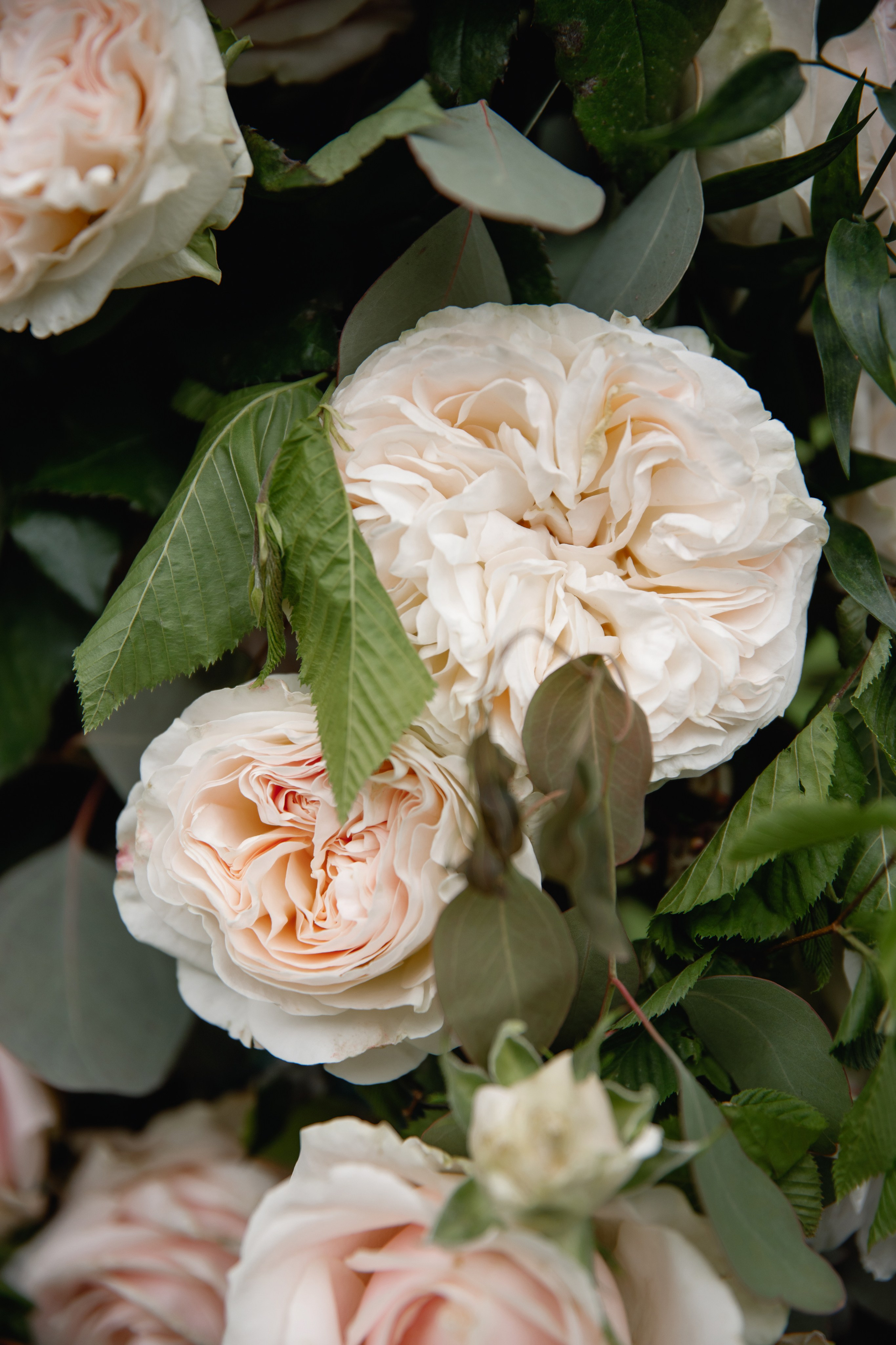 Wedding Photographer Italy, Tuscany, Como, Amalfy, Puglia, Sicily. Wedding Photographer Rome Tuscany Como Sicily Puglia Amalfy Italy- Oksana Savenchuk