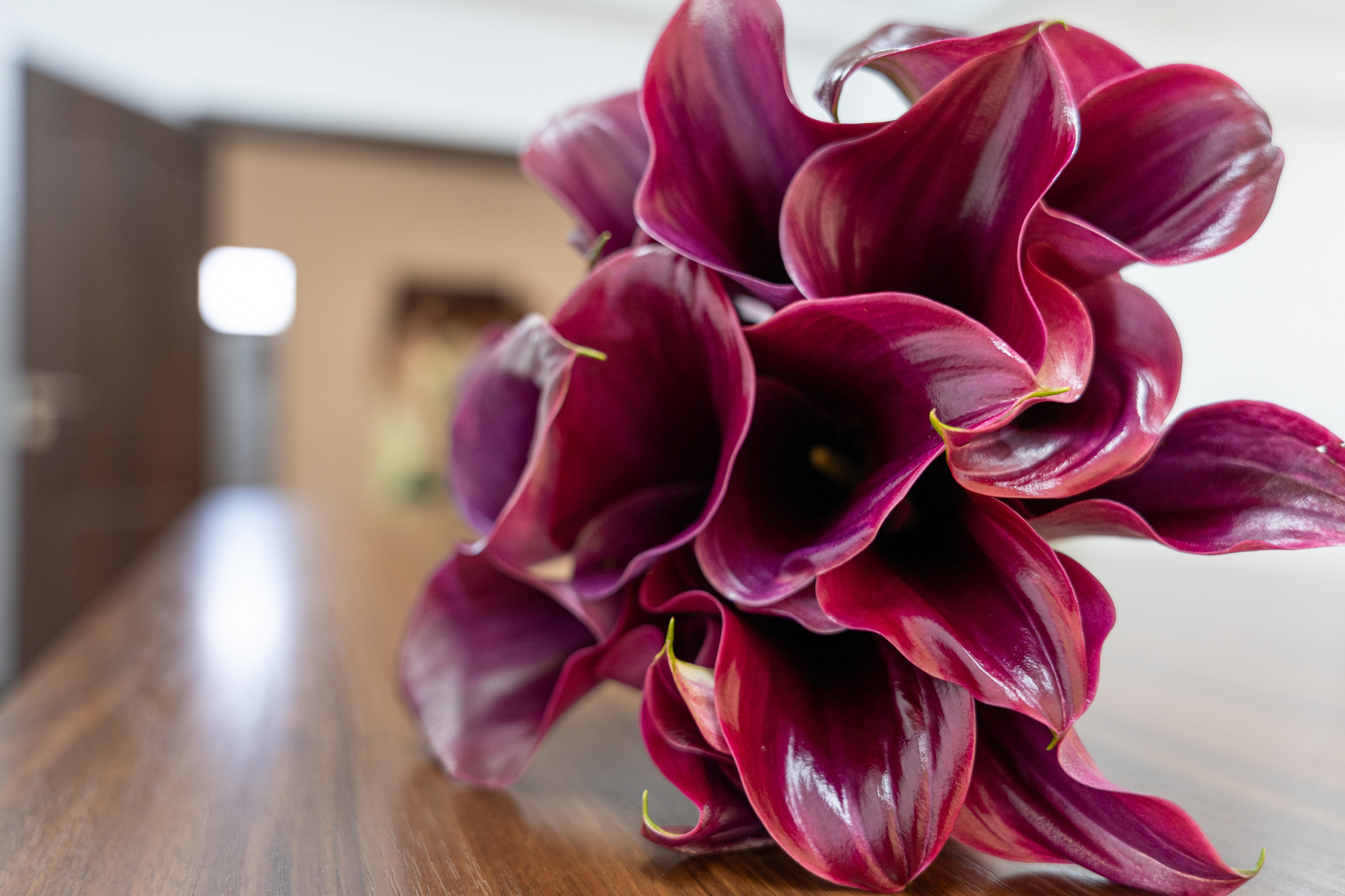 Andreea & Marlon. Fotograf evenimente, fotograf nunta, fotograf botez