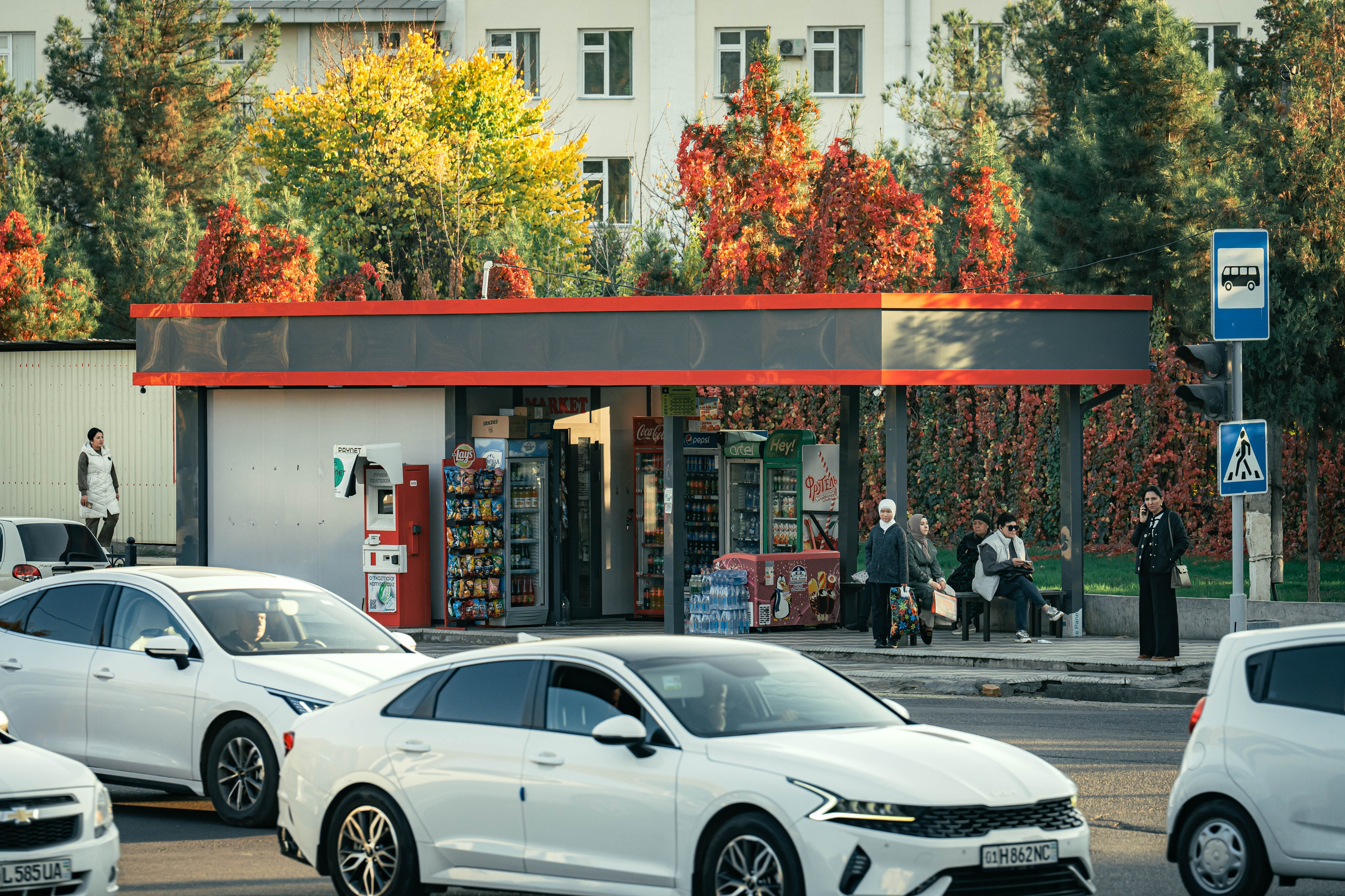 Ташкентская осень. Георгий Намазов | Фотограф в Ташкенте