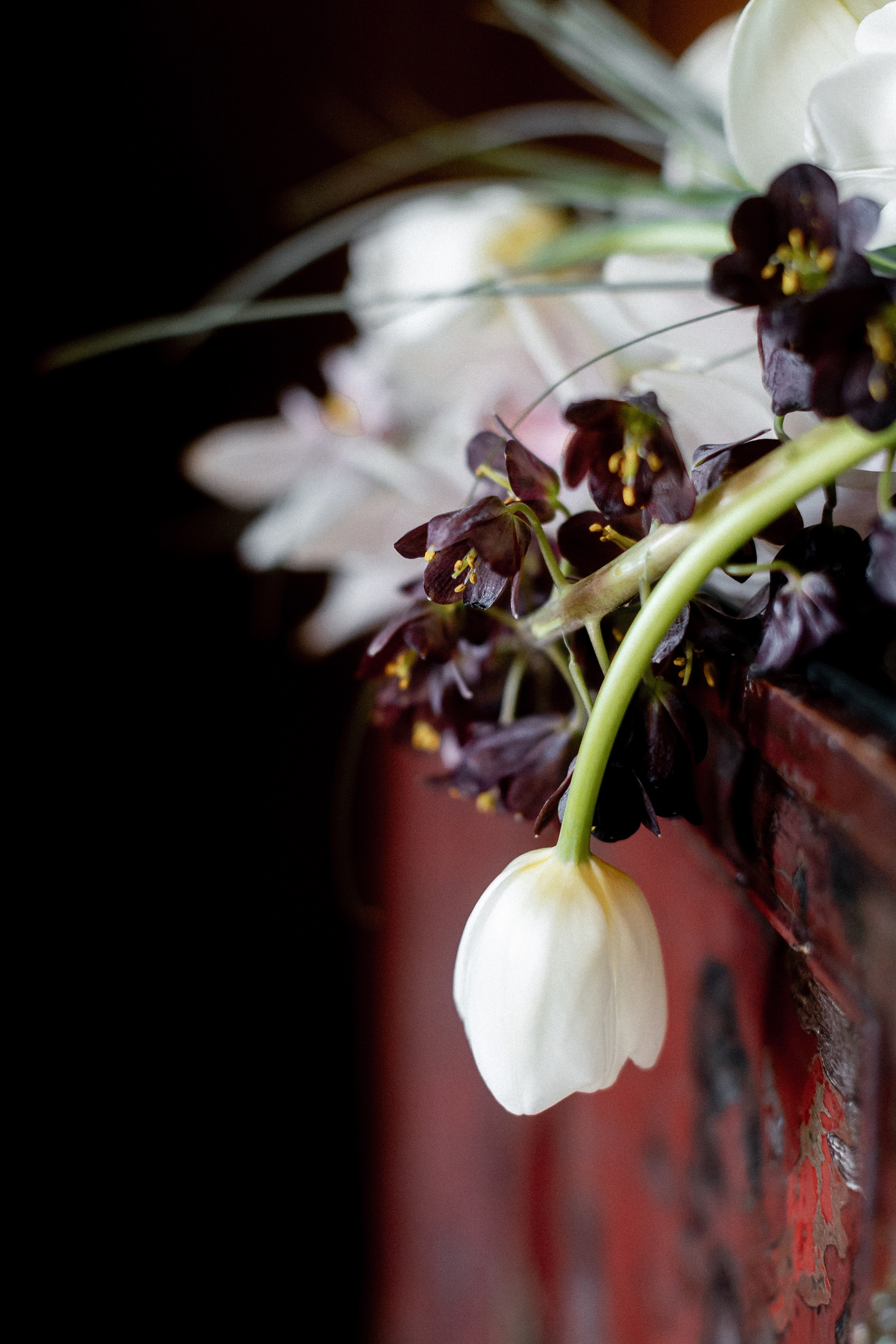 Historic Arley Hall editorial wedding — coming soon........ Timeless Wedding & Event Photography from London to the world