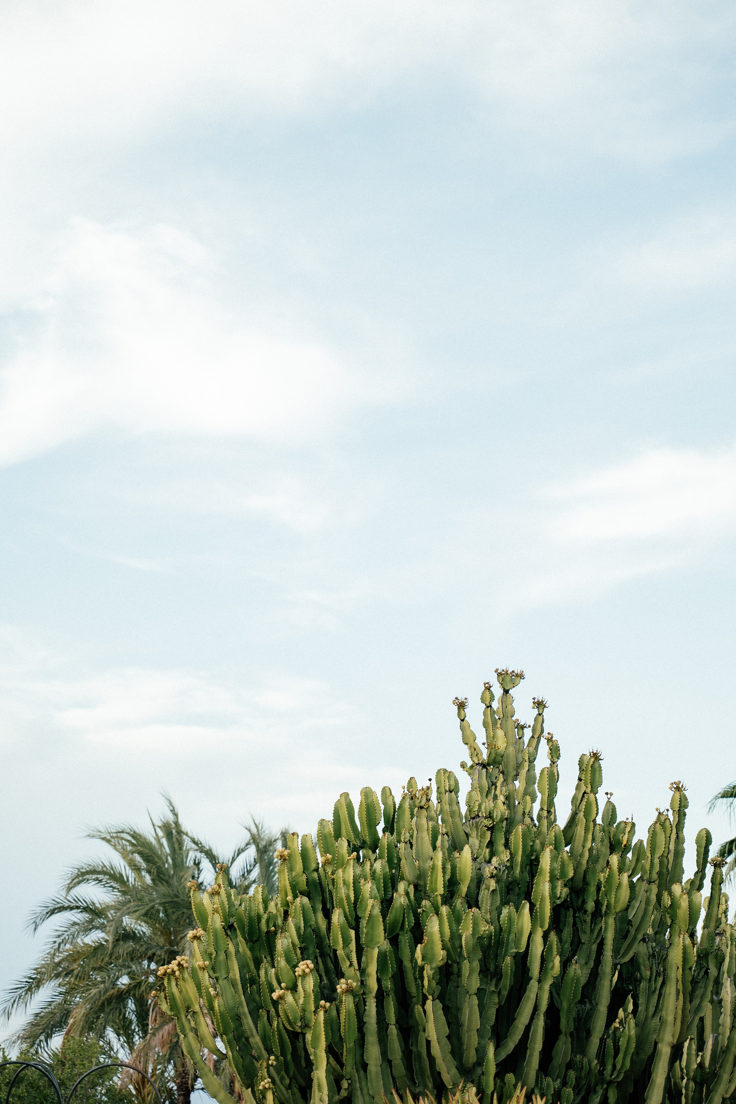 Gonzalo & Maria (Murcia)