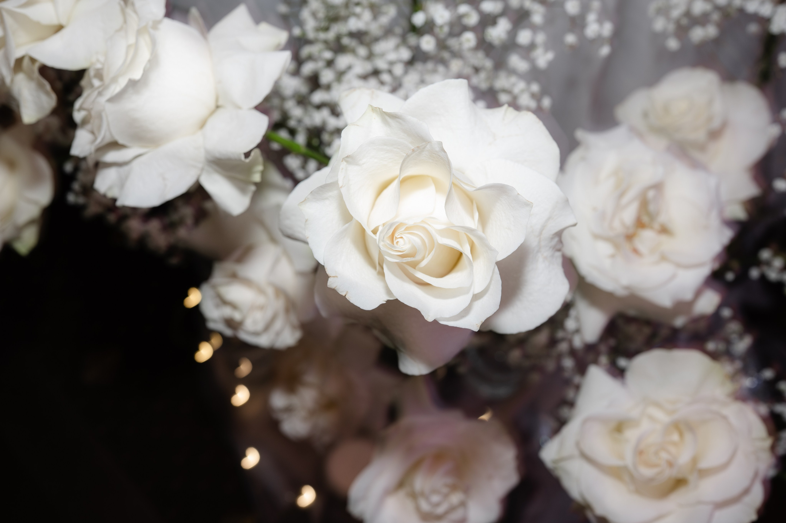 Raluca + Mihai | Wedding Select. Alexandra Hanu Photographer