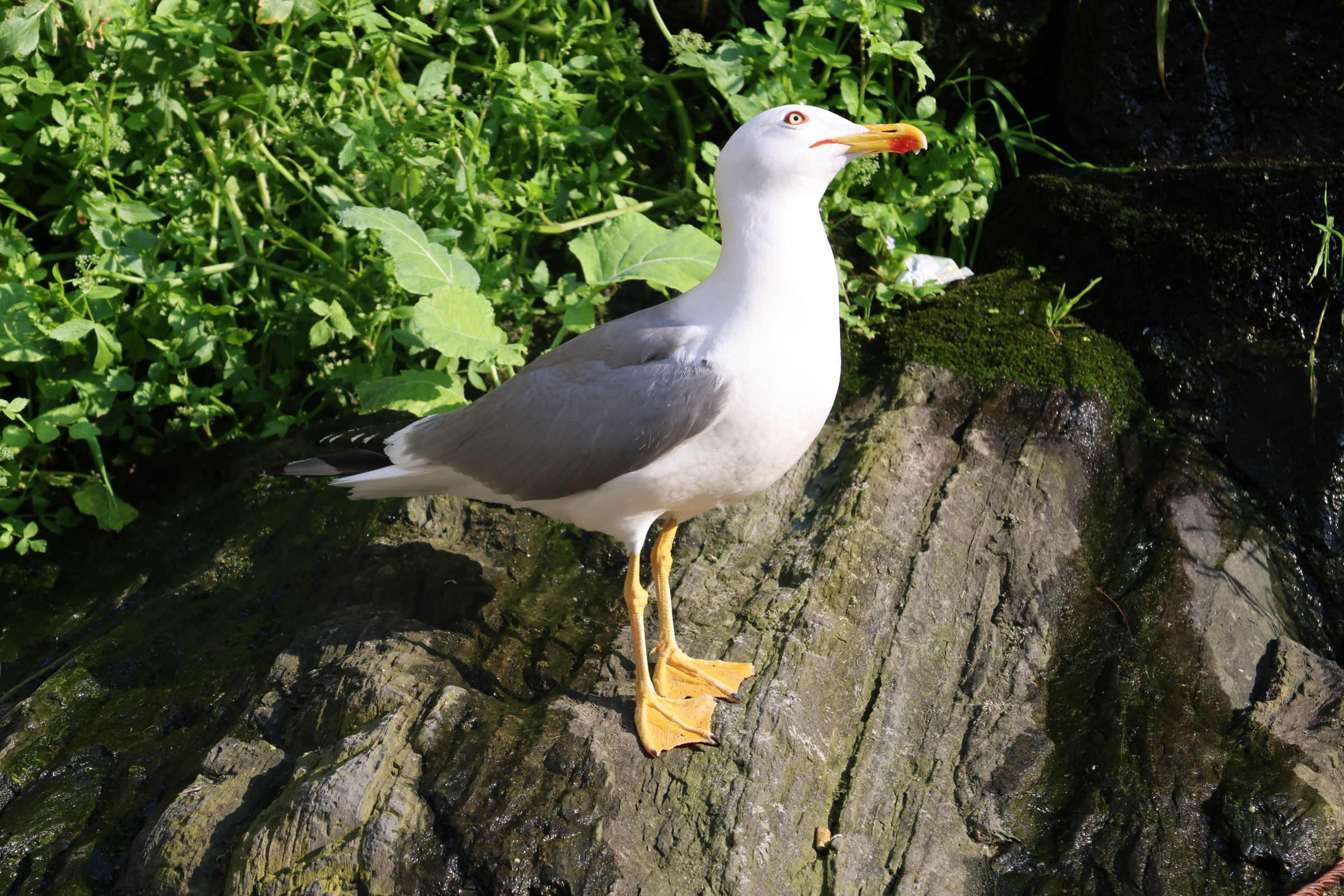 LidiiaFotoLab: Portrait, Event & Hochzeitsfotografin