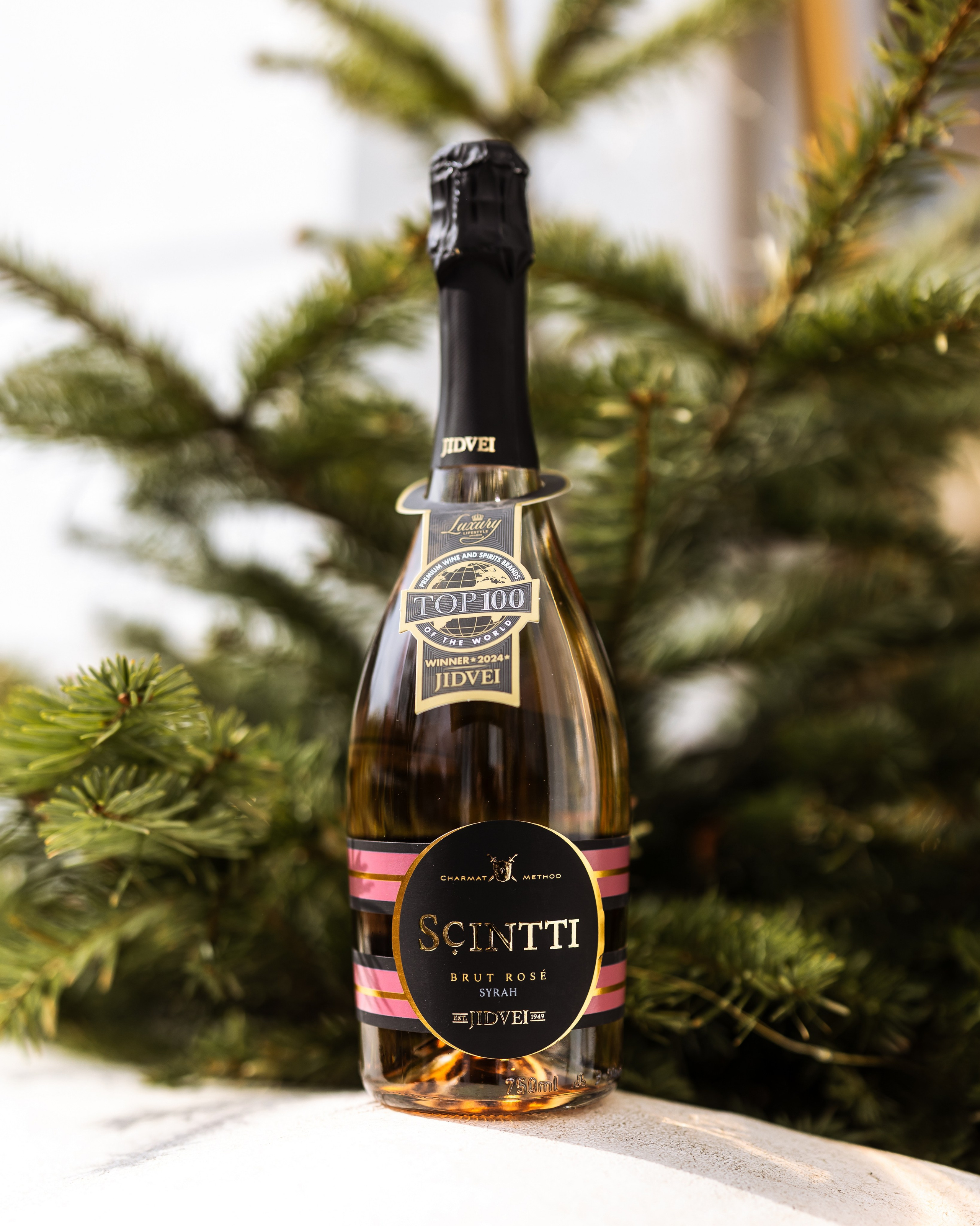 Taste Busters 3. Marius Ciocan