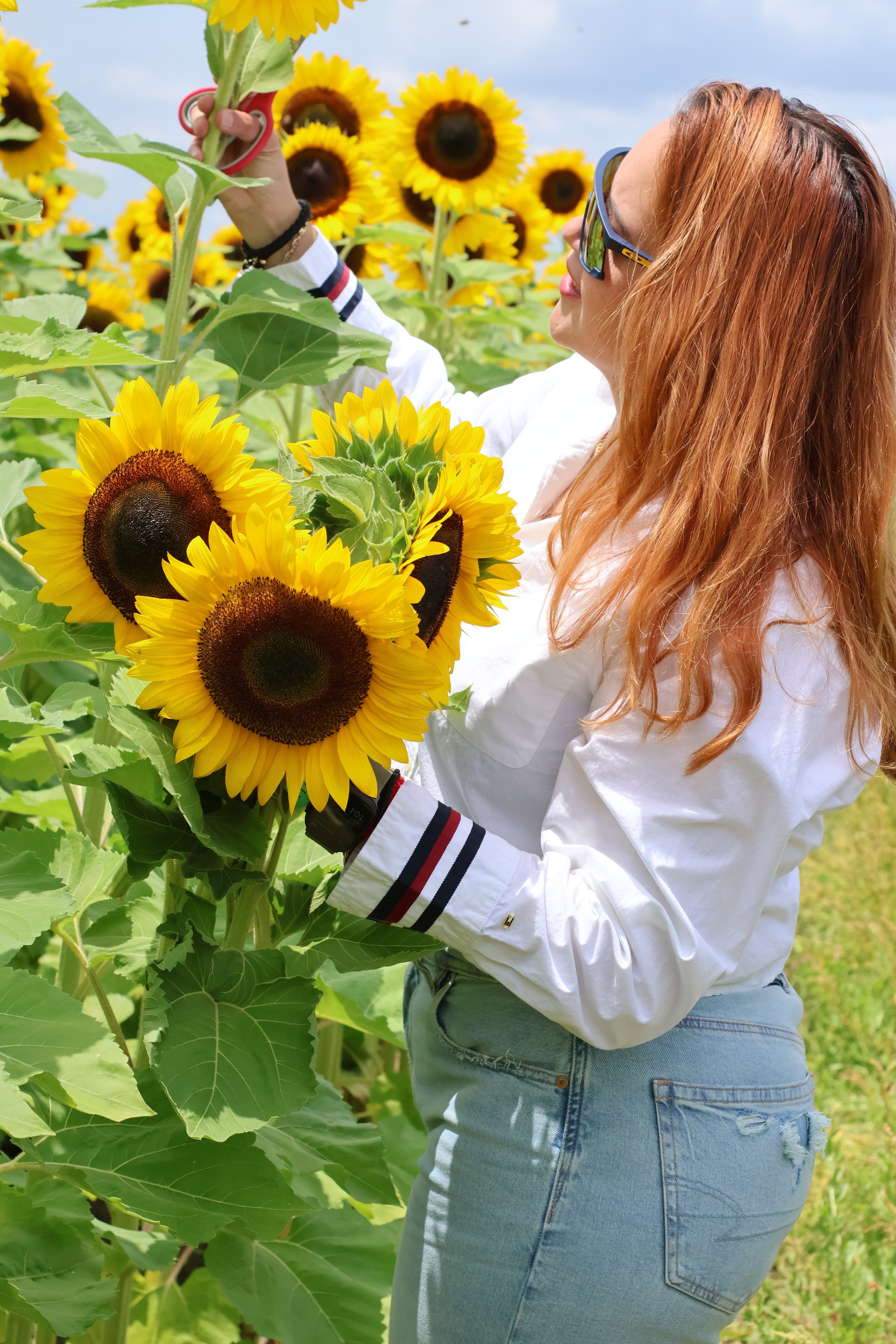 SUNFLOWERS. Workmakeapp Studio