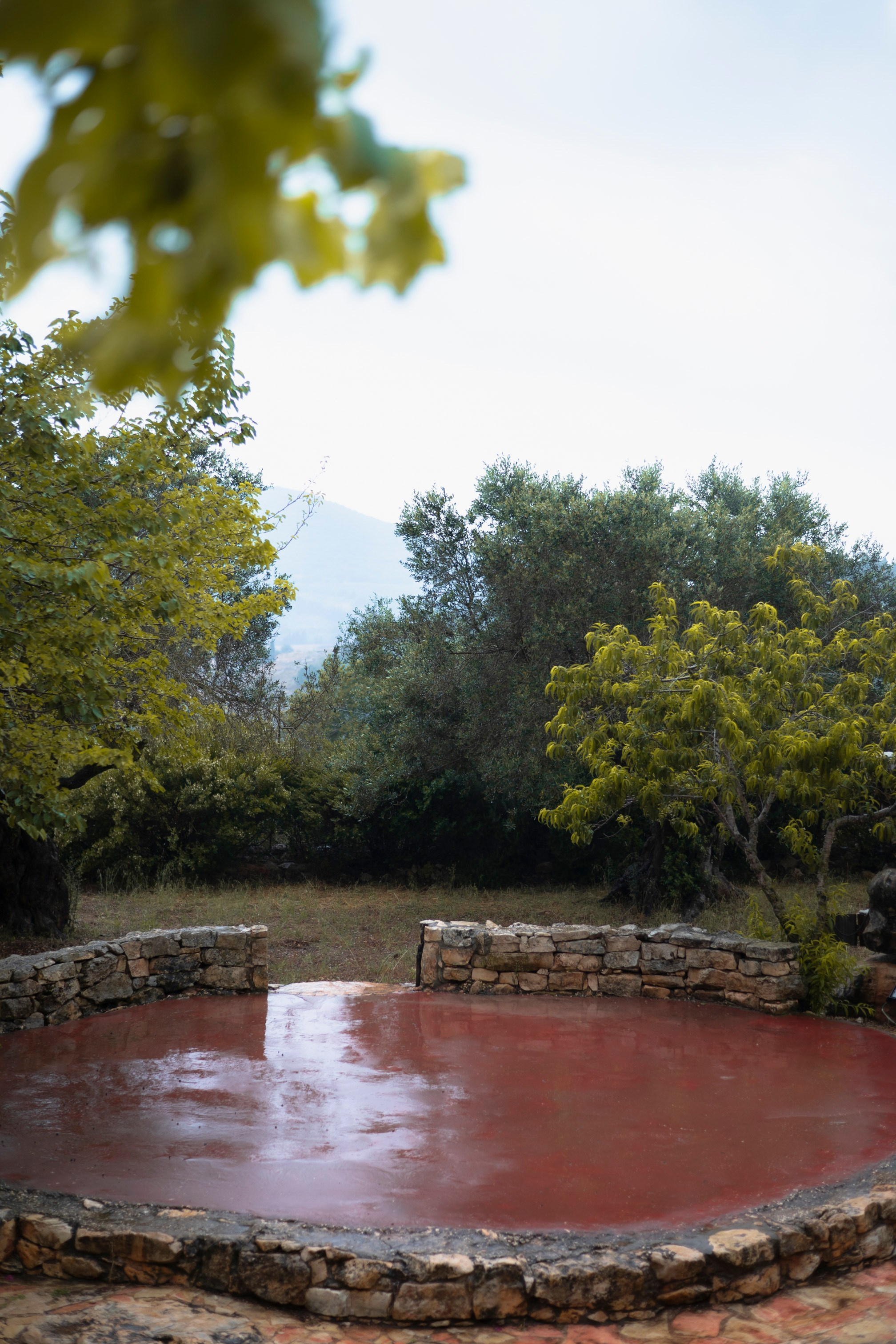 Wellness Camp. KATY GOLD PHOTOGRAPHY