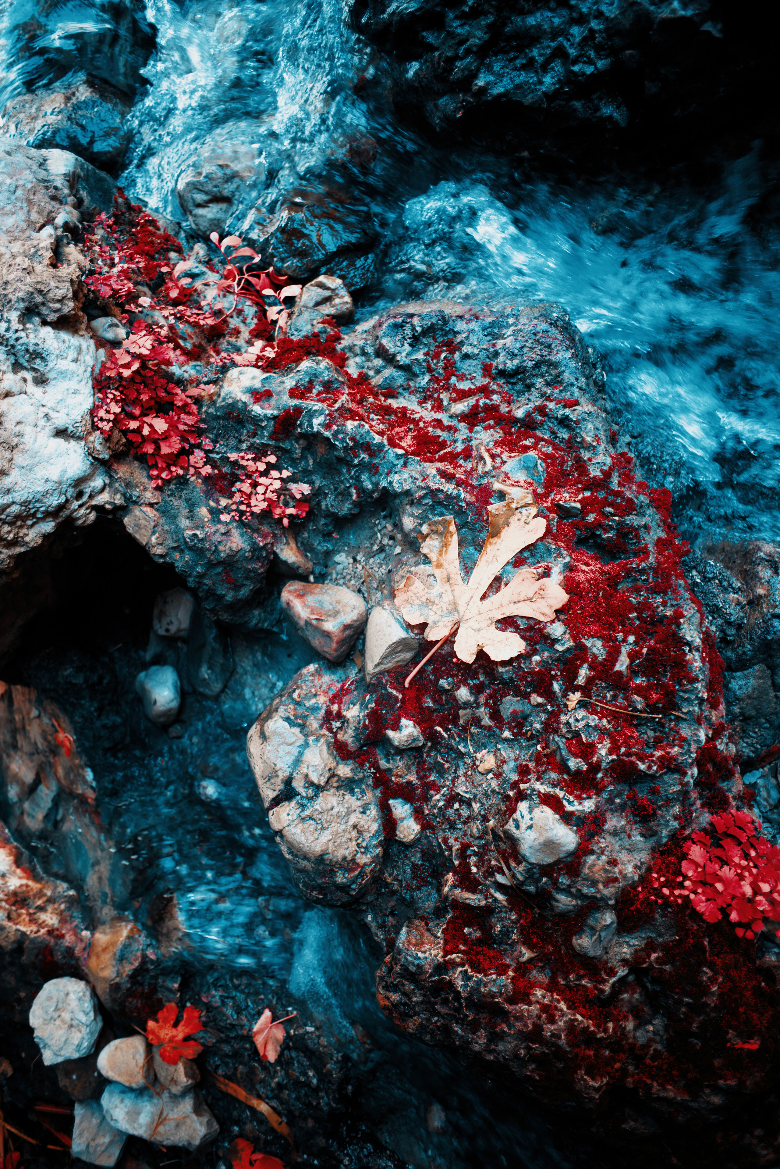 Sentiakov Valerii, Photographer. Israel