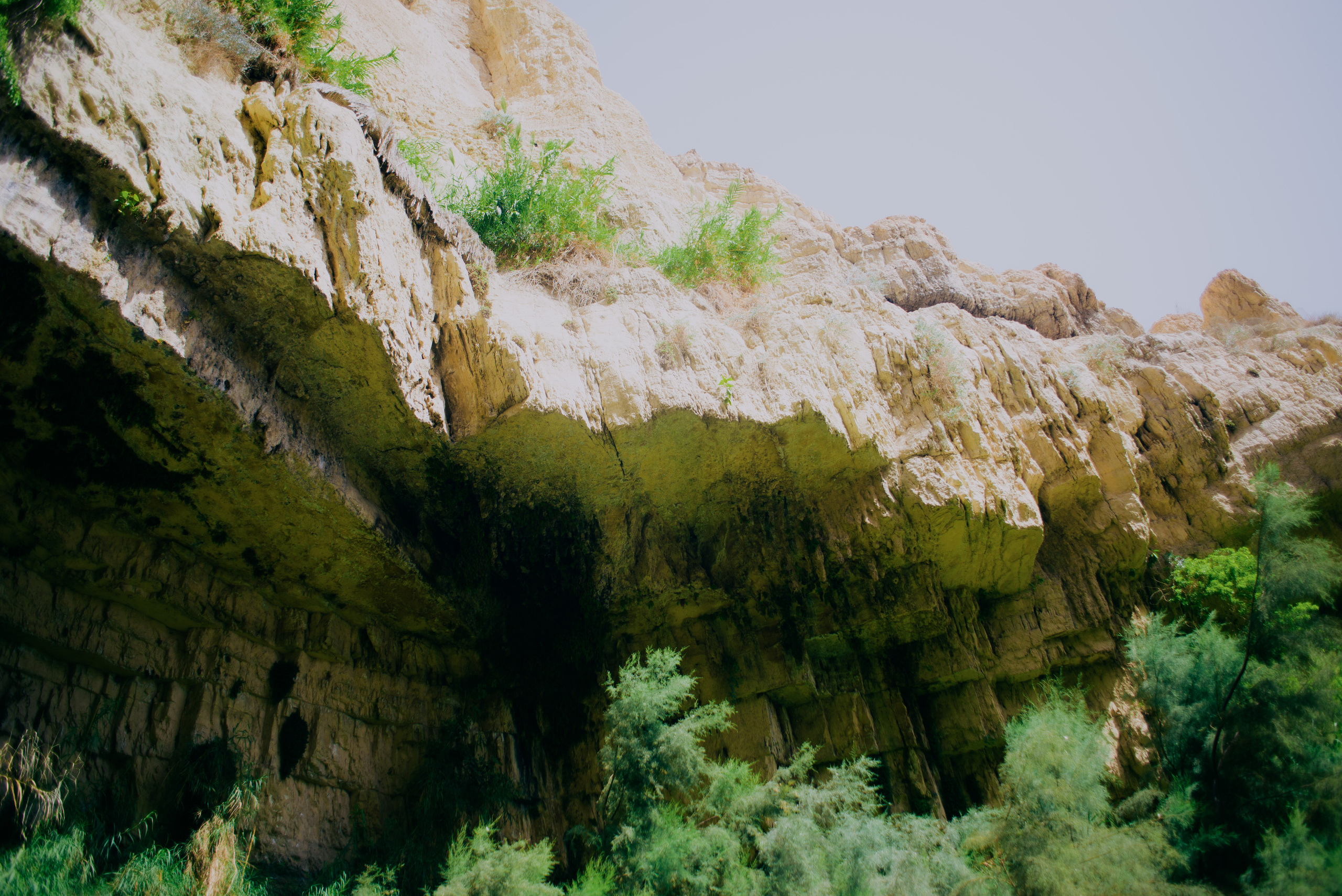 Sentiakov Valerii, Photographer. Israel