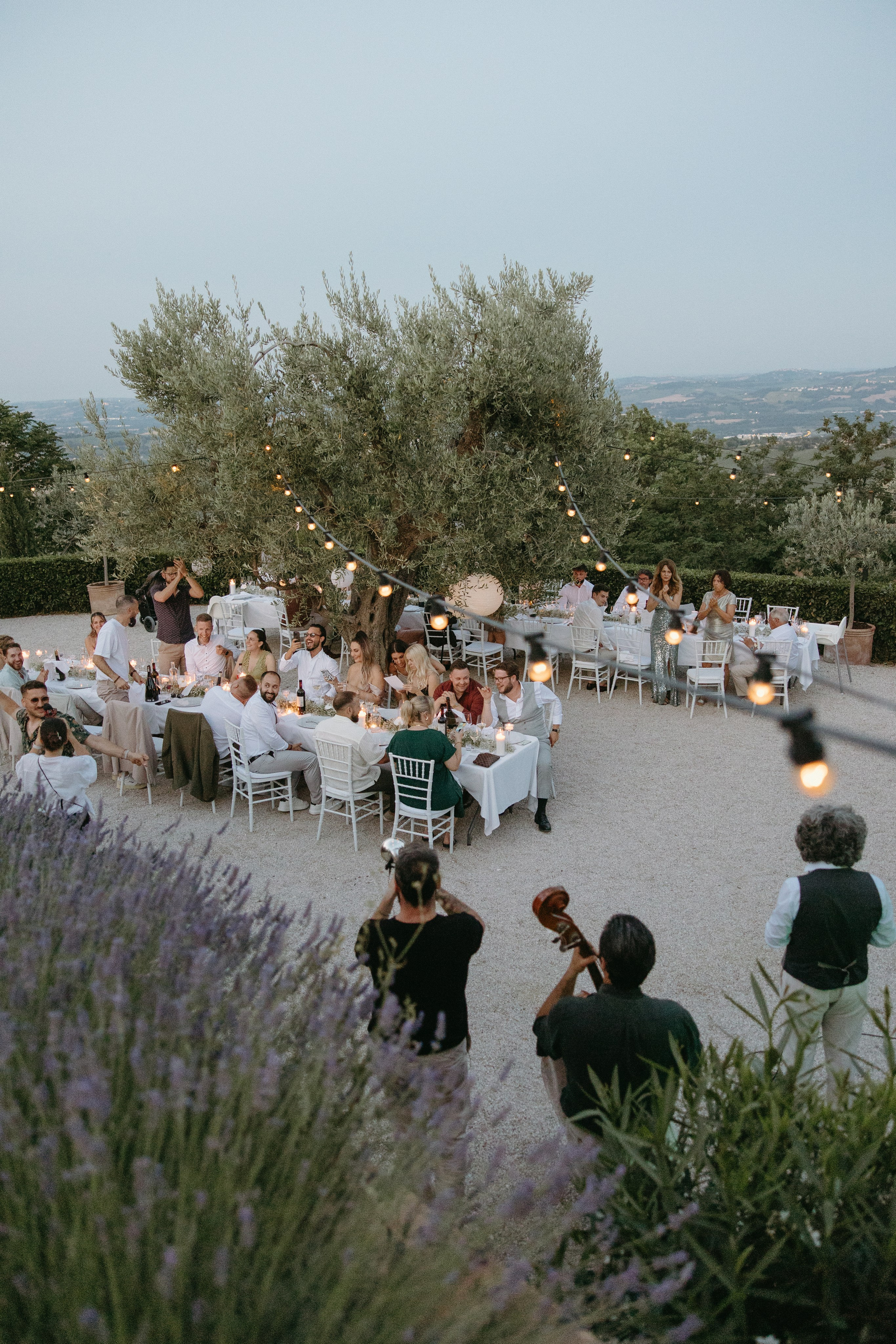 Sofia&Falk. Весільний фотограф Вікторія Саврук