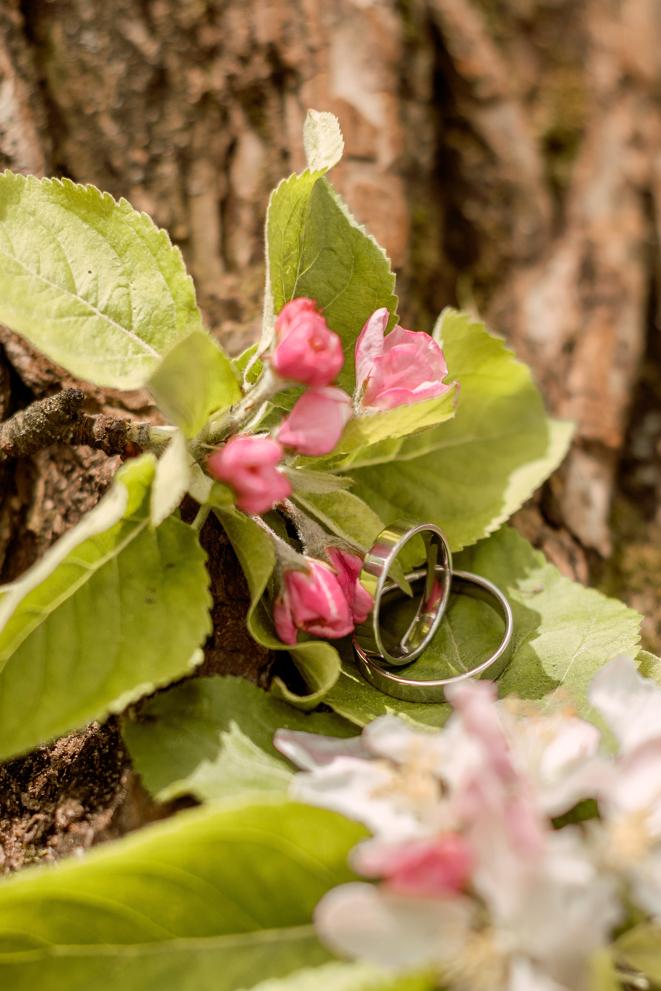 Lovestory Елены и Алексея. Семейный фотограф и фотограф новорожденных в Вильнюсе Ирина Беленкевич