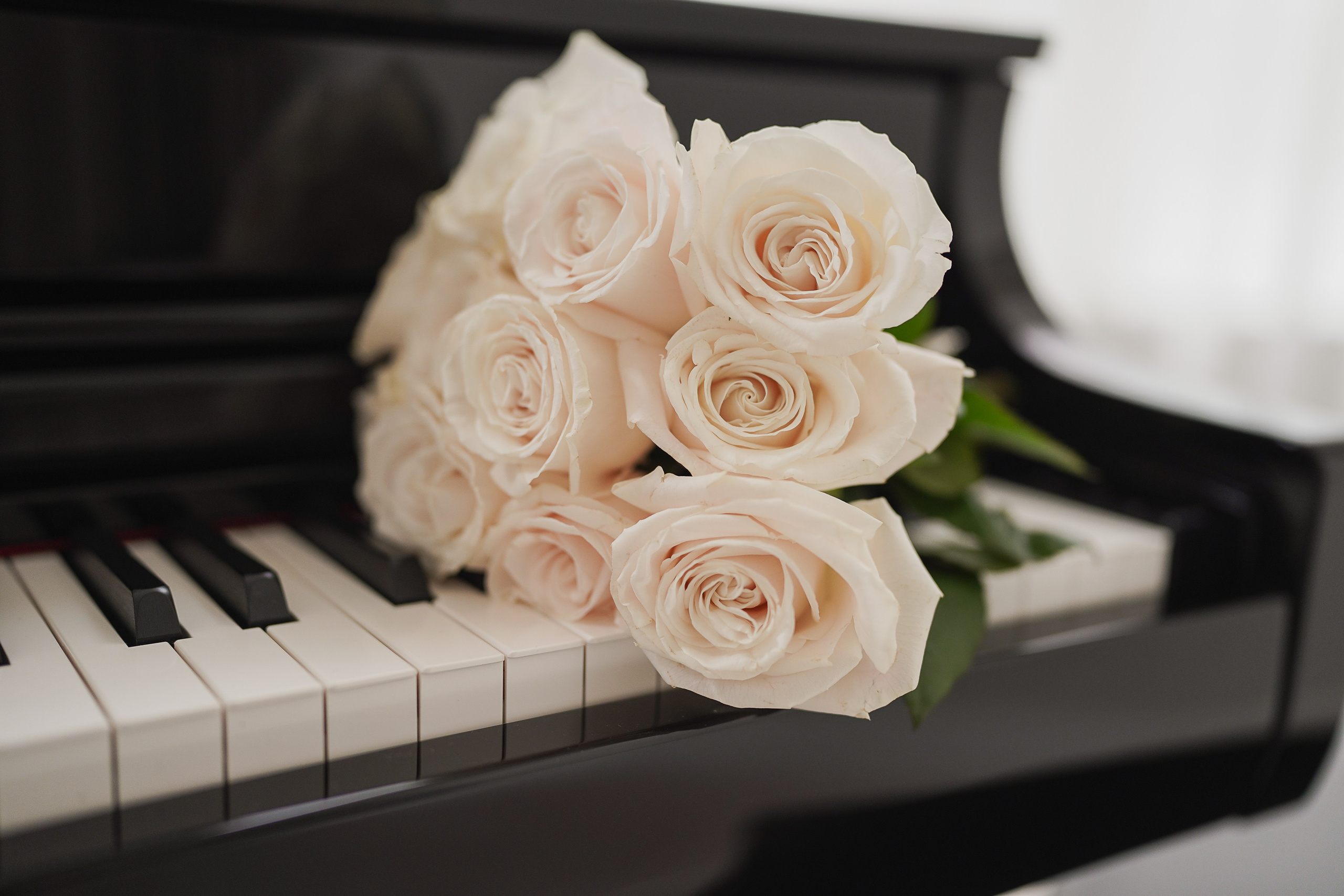 Family / Wedding / Quinceañeras. Main