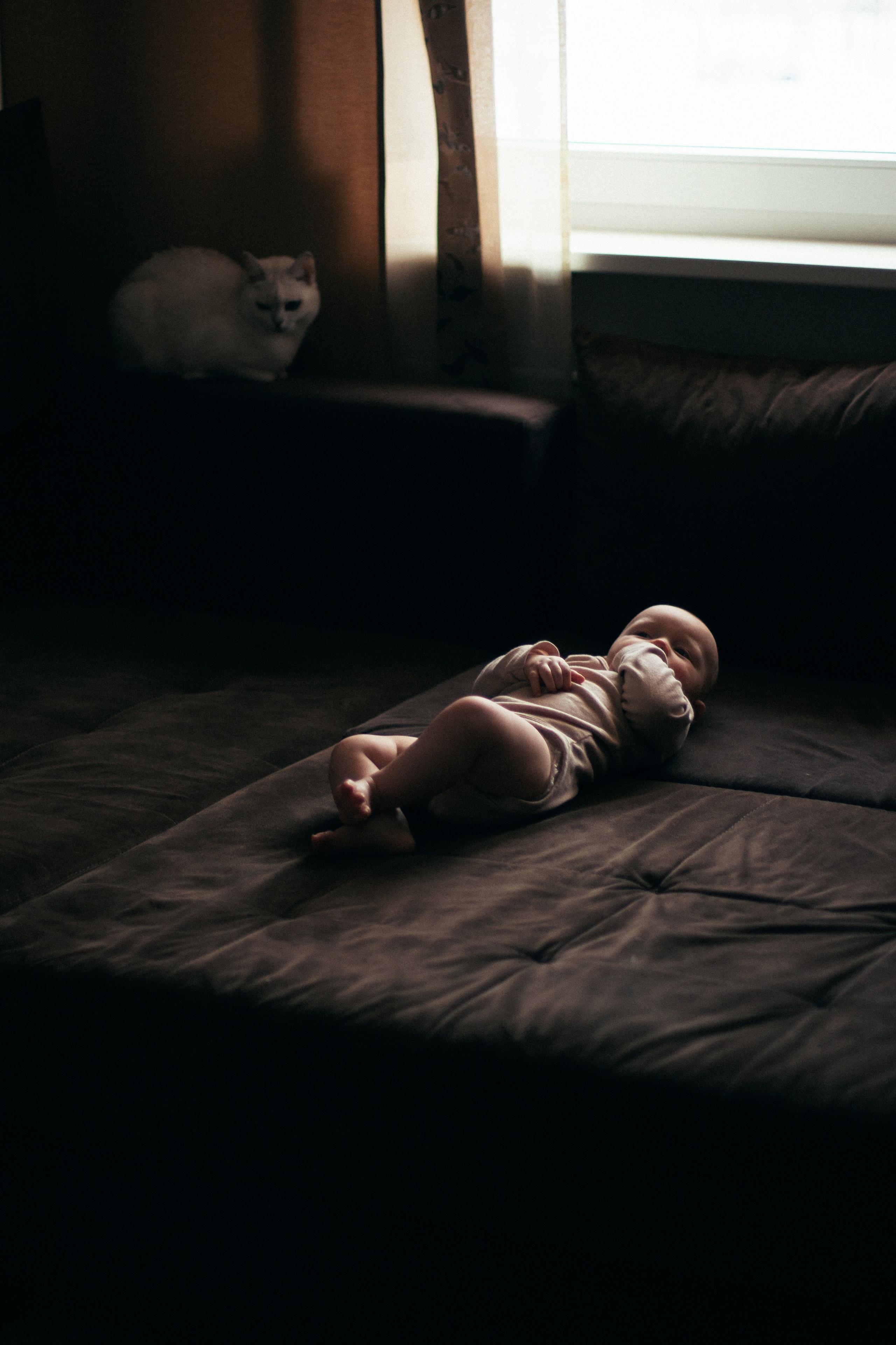 Иван. Главная