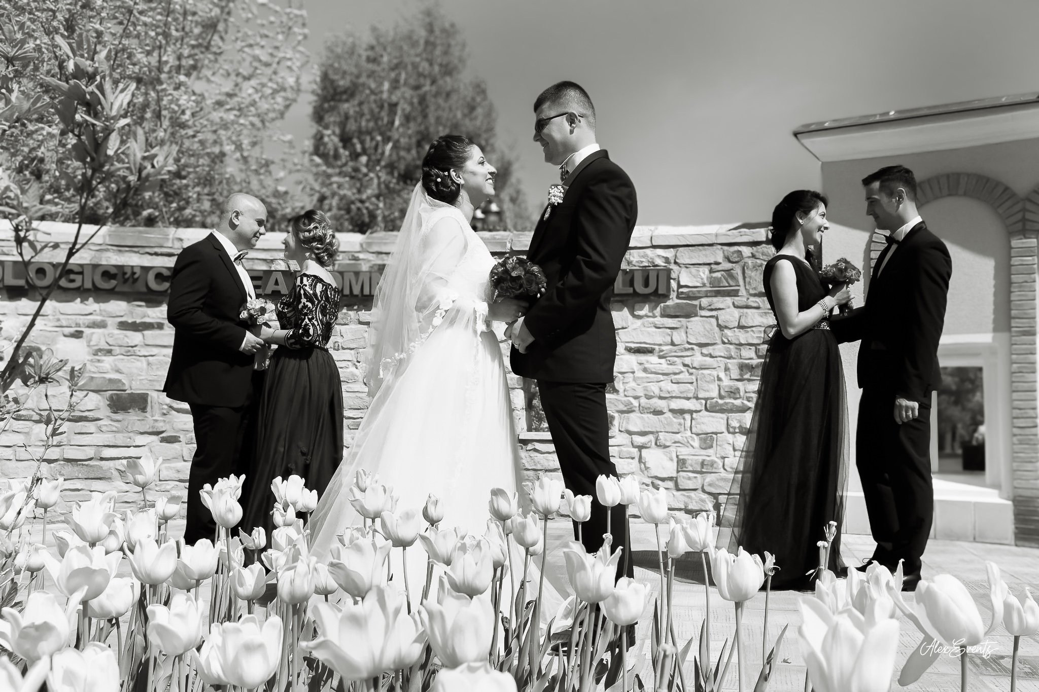 Fotograf nunta Horsens | Alex Events. AlexEvents | Fotograf si Videograf de Nunta si Botez in Danemarca si Germania