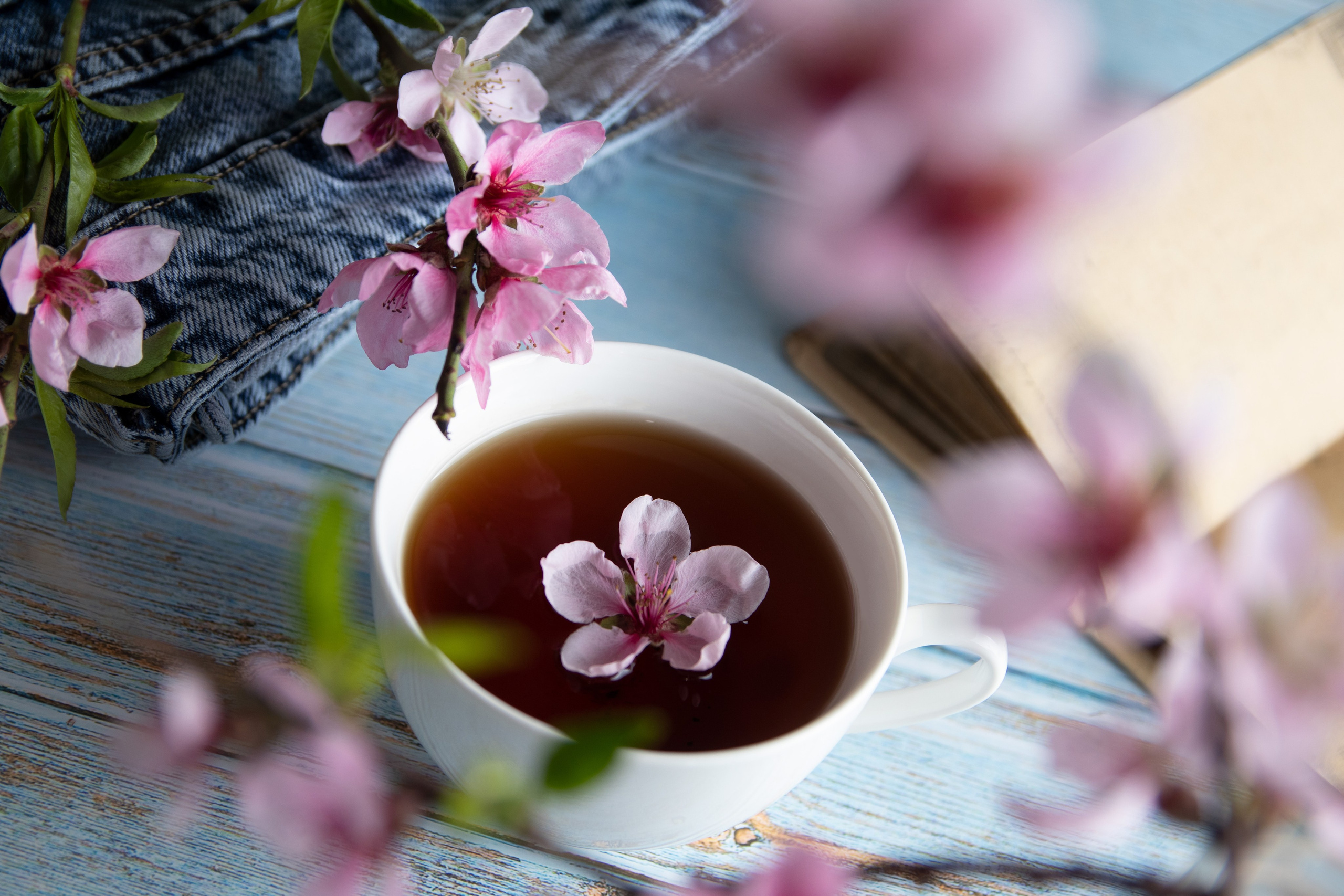 Фуд съемка. Семейный и рекламный фотограф в Ташкенте Мария Кудрявцева