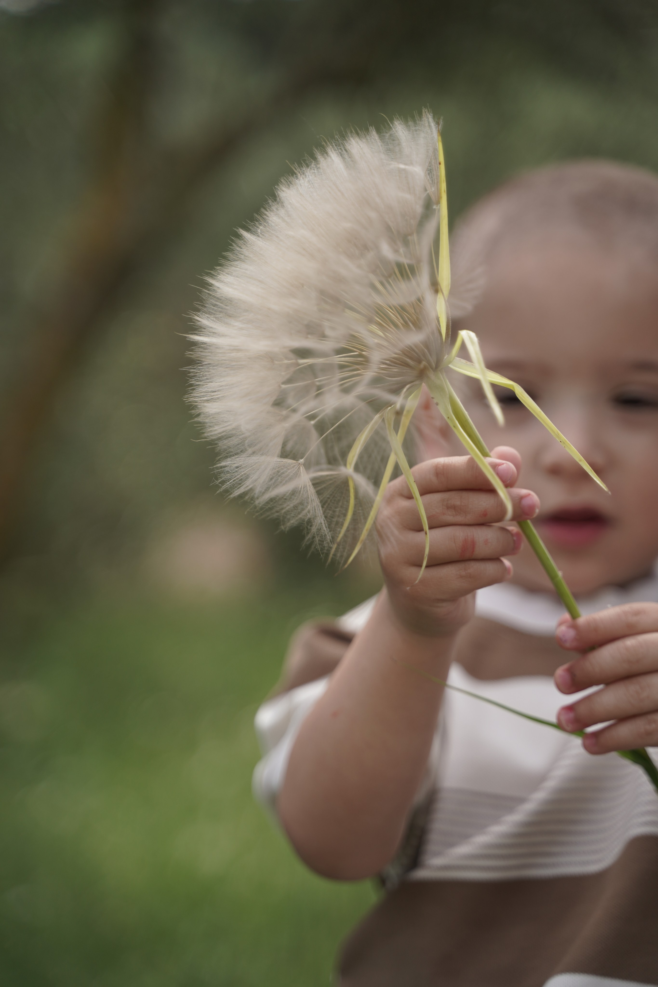 Даниэль. Фотограф. Визуал. Хайфа. Талья Цветкова