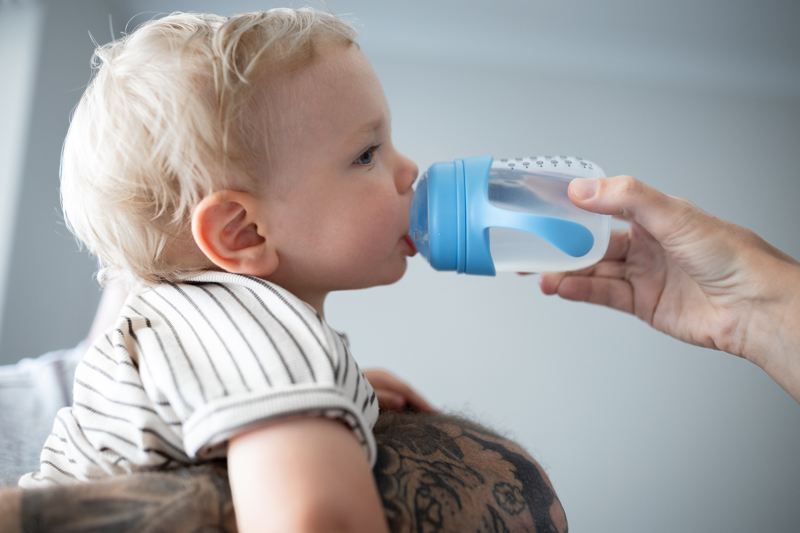 Photos from different family photoshoots