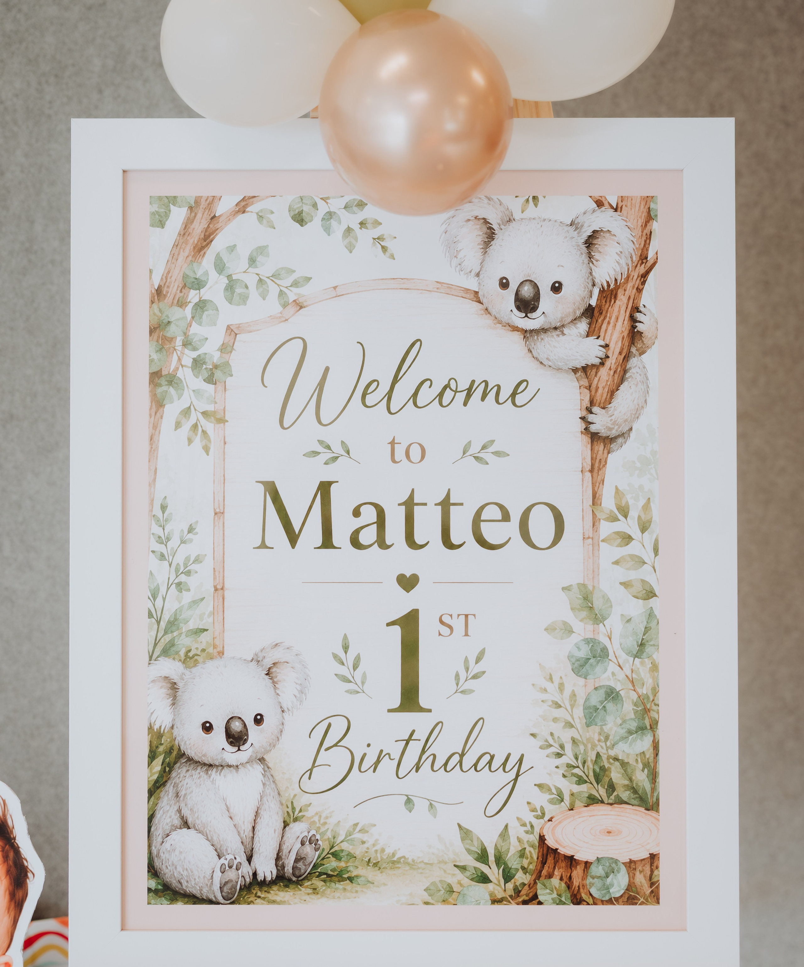 Celebrate Birthday -Mateo. JS Photoshoot | Family, Events & Pet Photographer in Brisbane