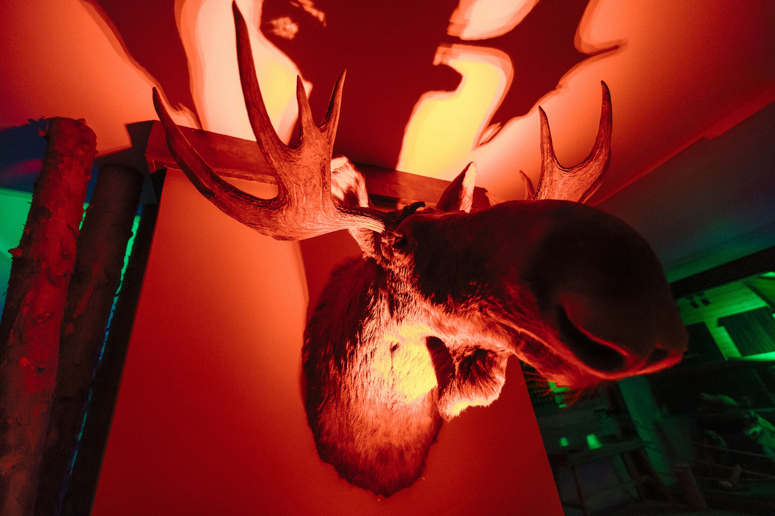 Magic Gala Corporate Photoshoot — IT Company Gala Event in Fantasy Costumes. Evgeny Timofeyev | Wedding & Content photographer and videographer