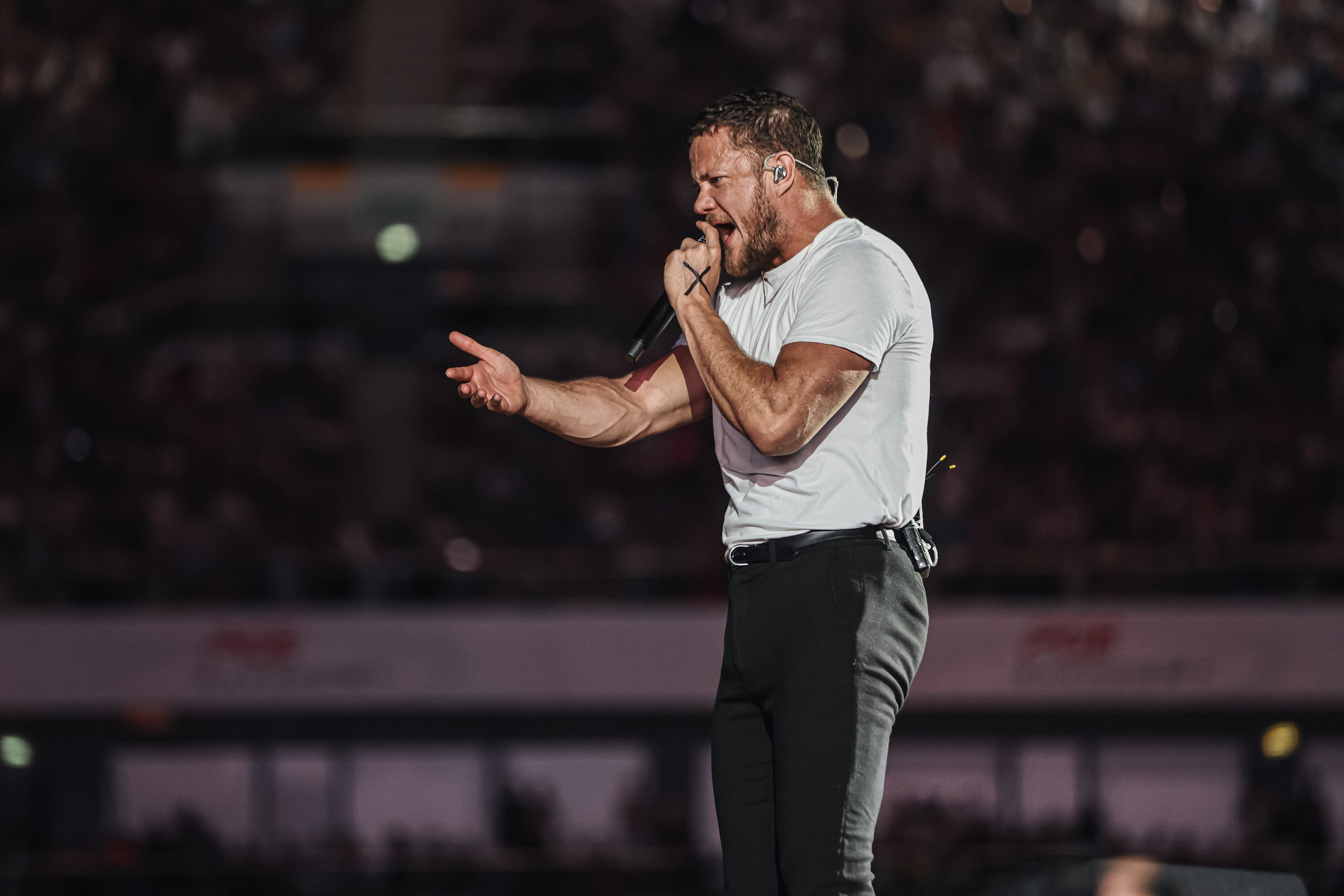 Imagine Dragons. Репортажний фотограф/анімаліст КИЇВ