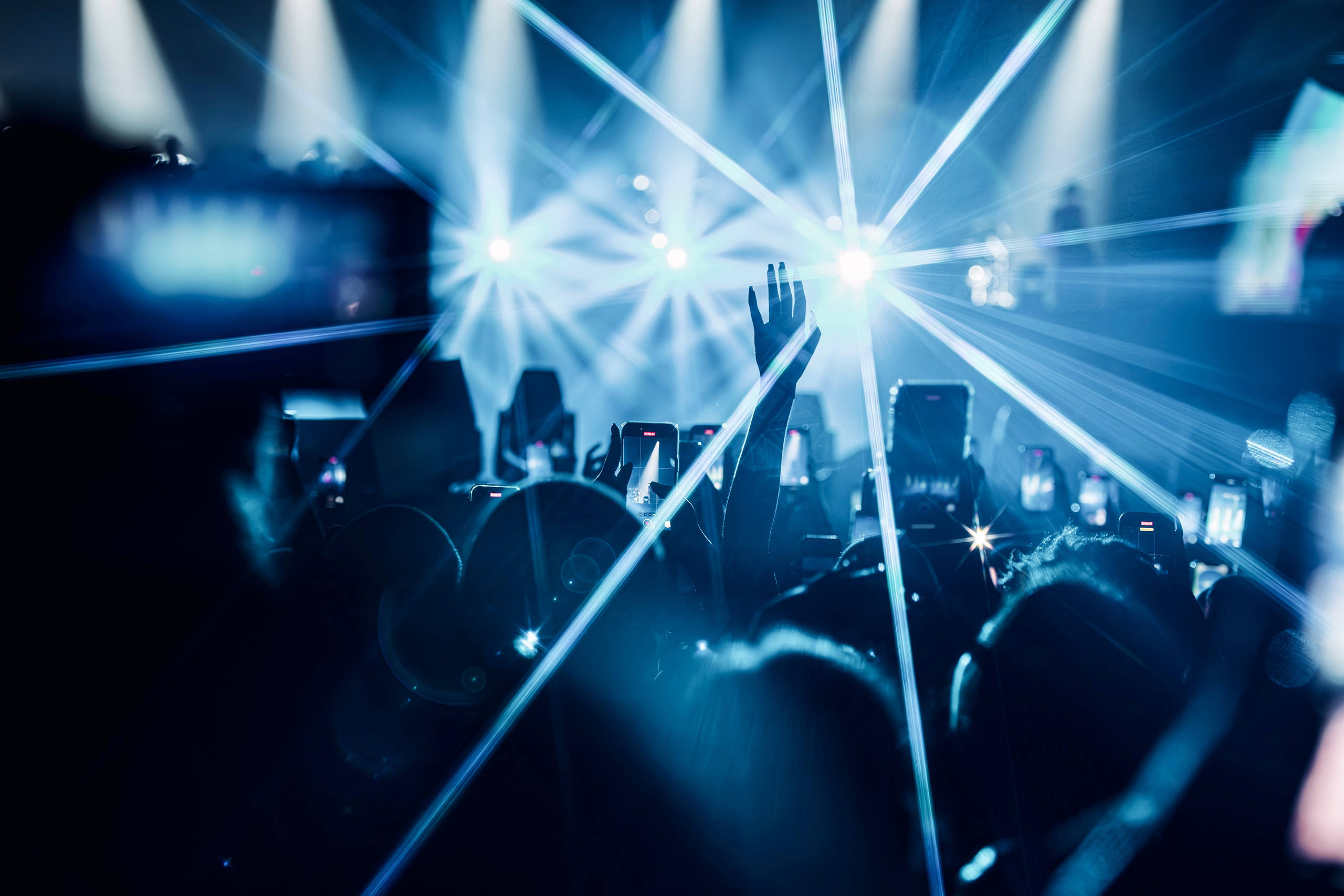 Klavdia Petrivna. Репортажний фотограф/анімаліст КИЇВ