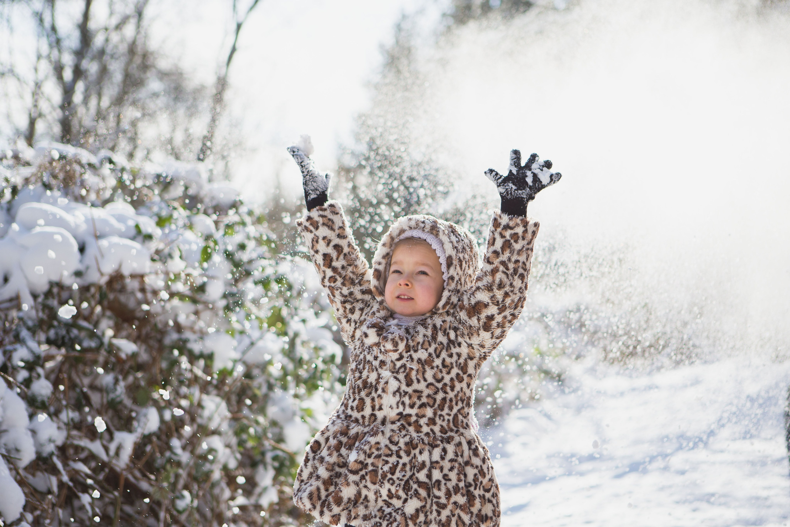 Winter. YuAnna studio. Family & Kids Photographer in Seattle area, located in