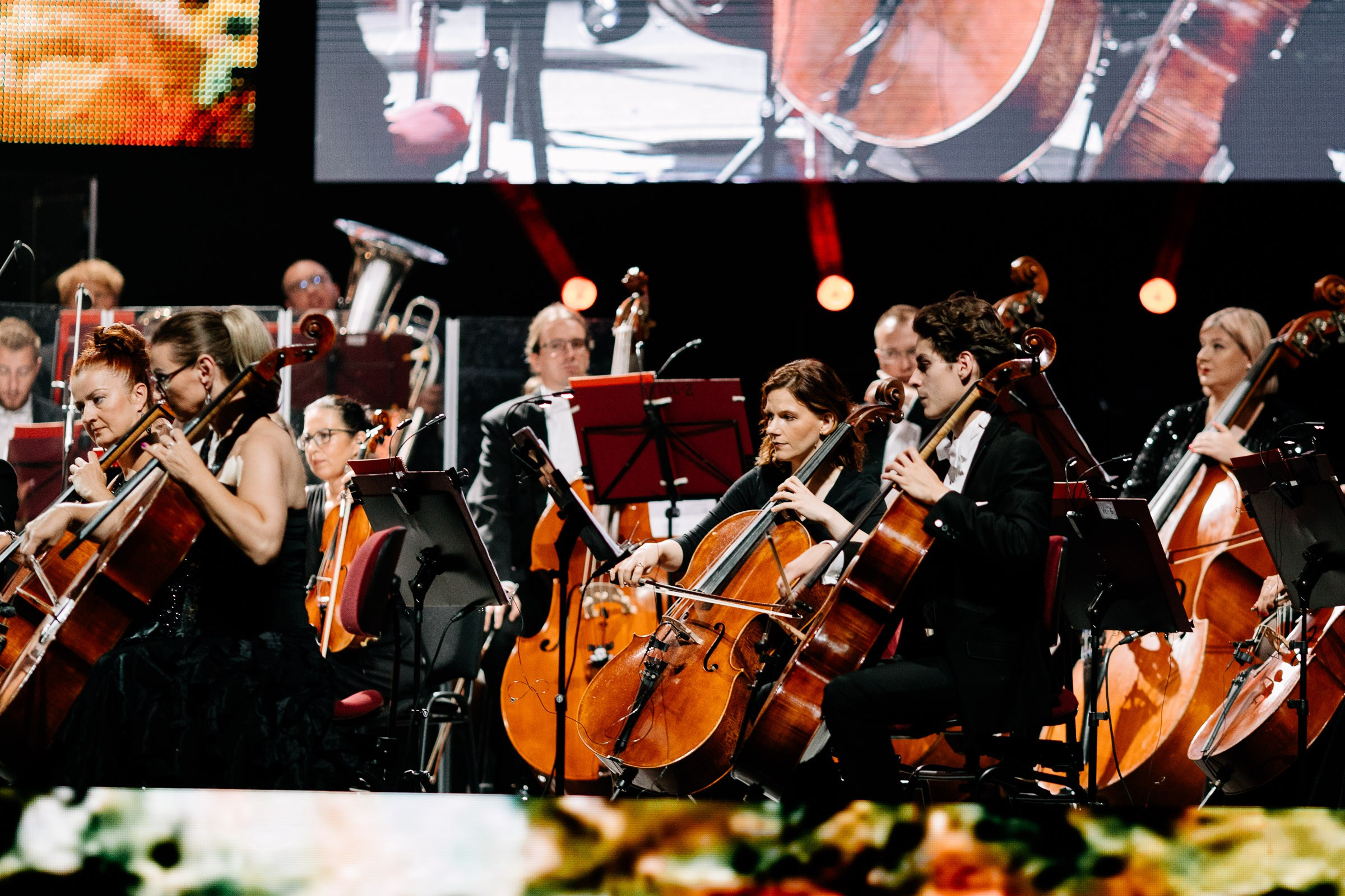 Opera Leśna Koncert. Fotograf Ślubny Warszawa - Sesje Biznesowe Rodzinne Eventy