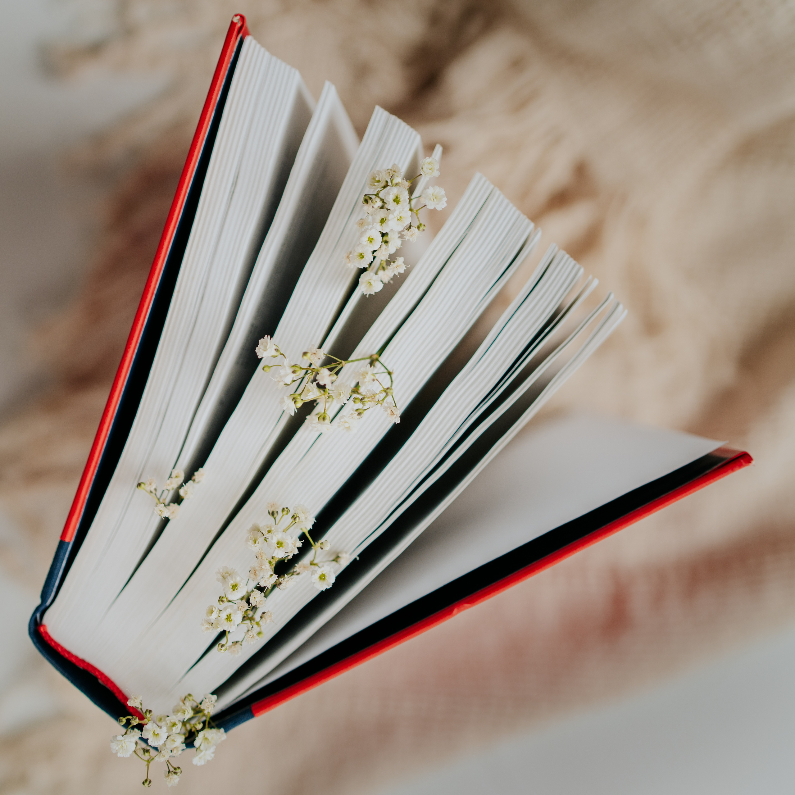 Online language school founder brand photoshoot. Barcelona Brand Photographer and Videographer Oxana Dia