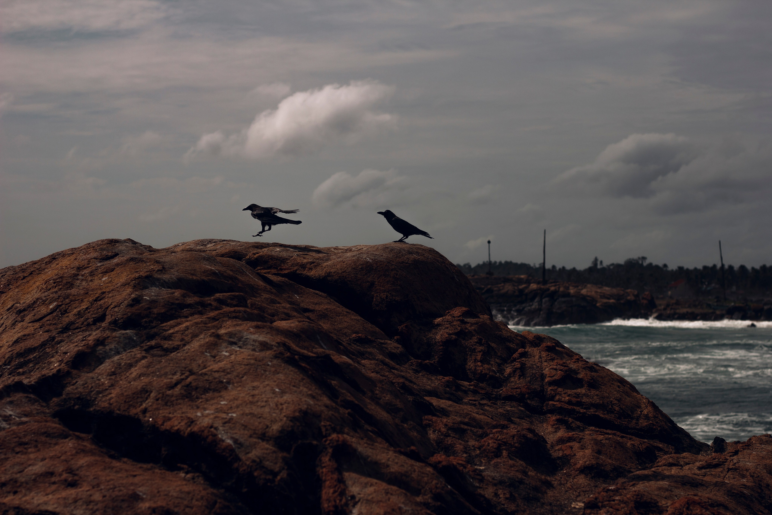 Sri Lanka. Art Photographer