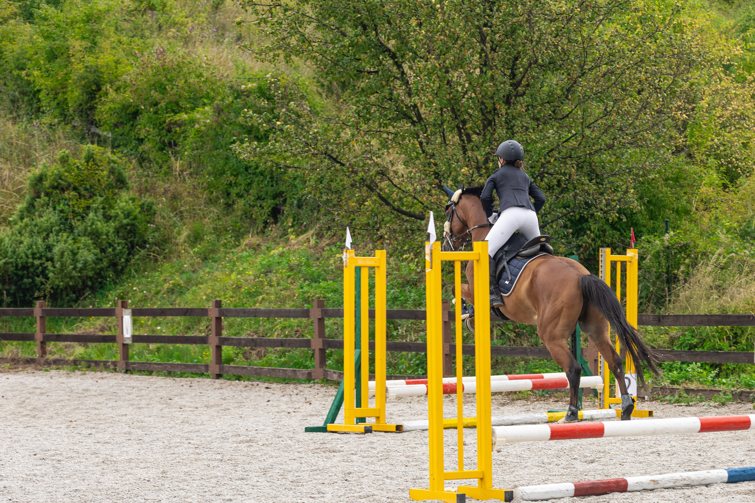Preponsko takmičenje konja u Sarajevu, 16. august 2025 – dinamičan skok konja i jahača u umjetničkom prikazu snage i elegancije.
