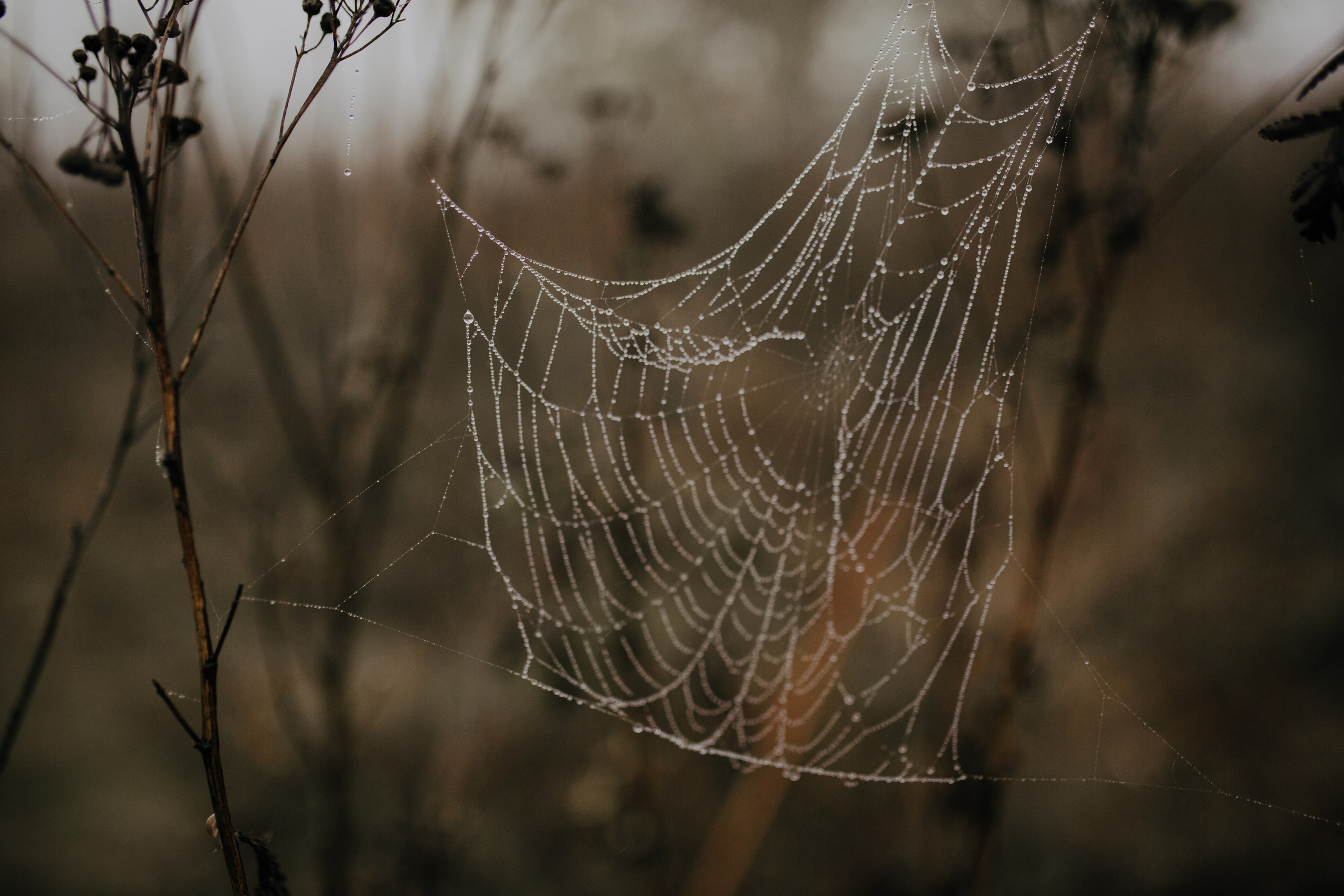 M & G. Fotograf Nunta Iasi - Hearts & Pictures