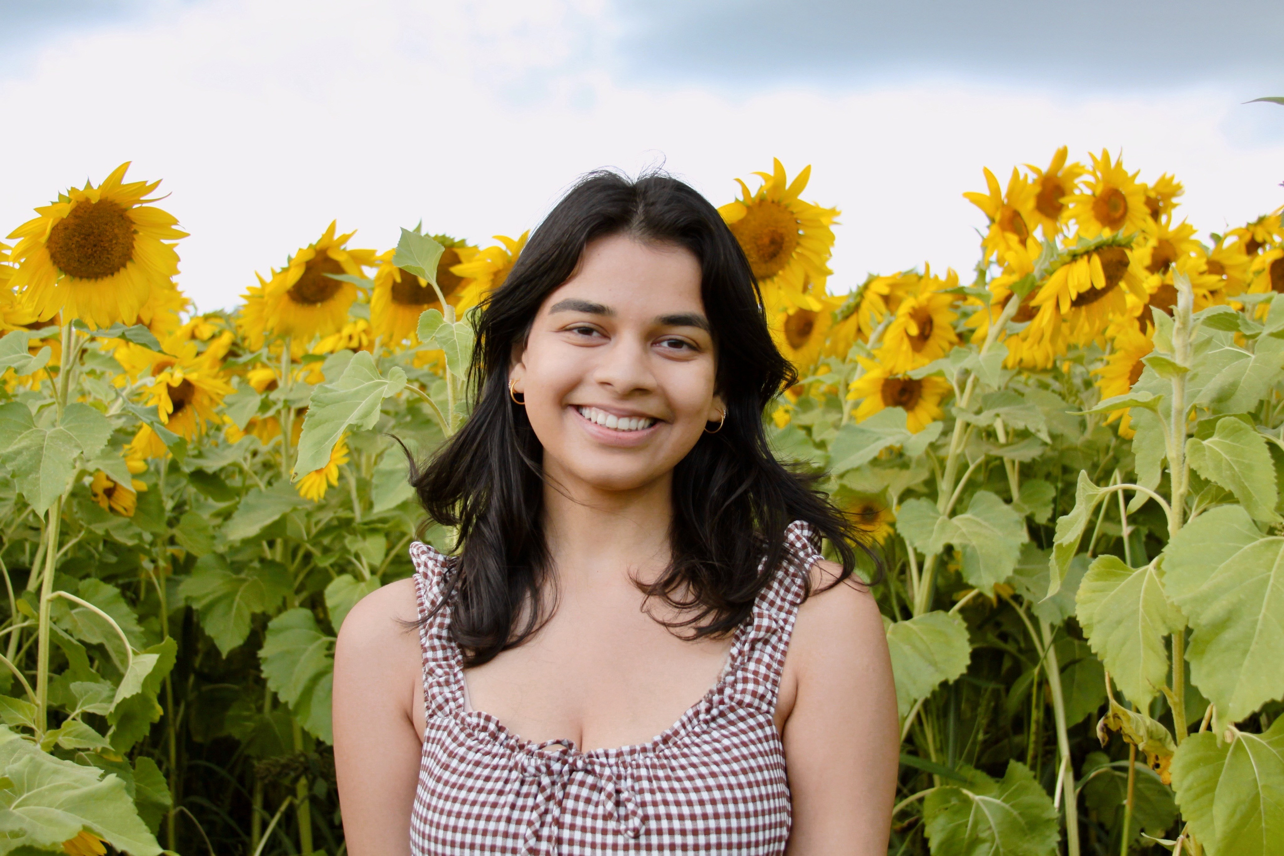 Sunflower farm shoot with Annie. Kelly Sang, graduation and portrait photographer in Boston