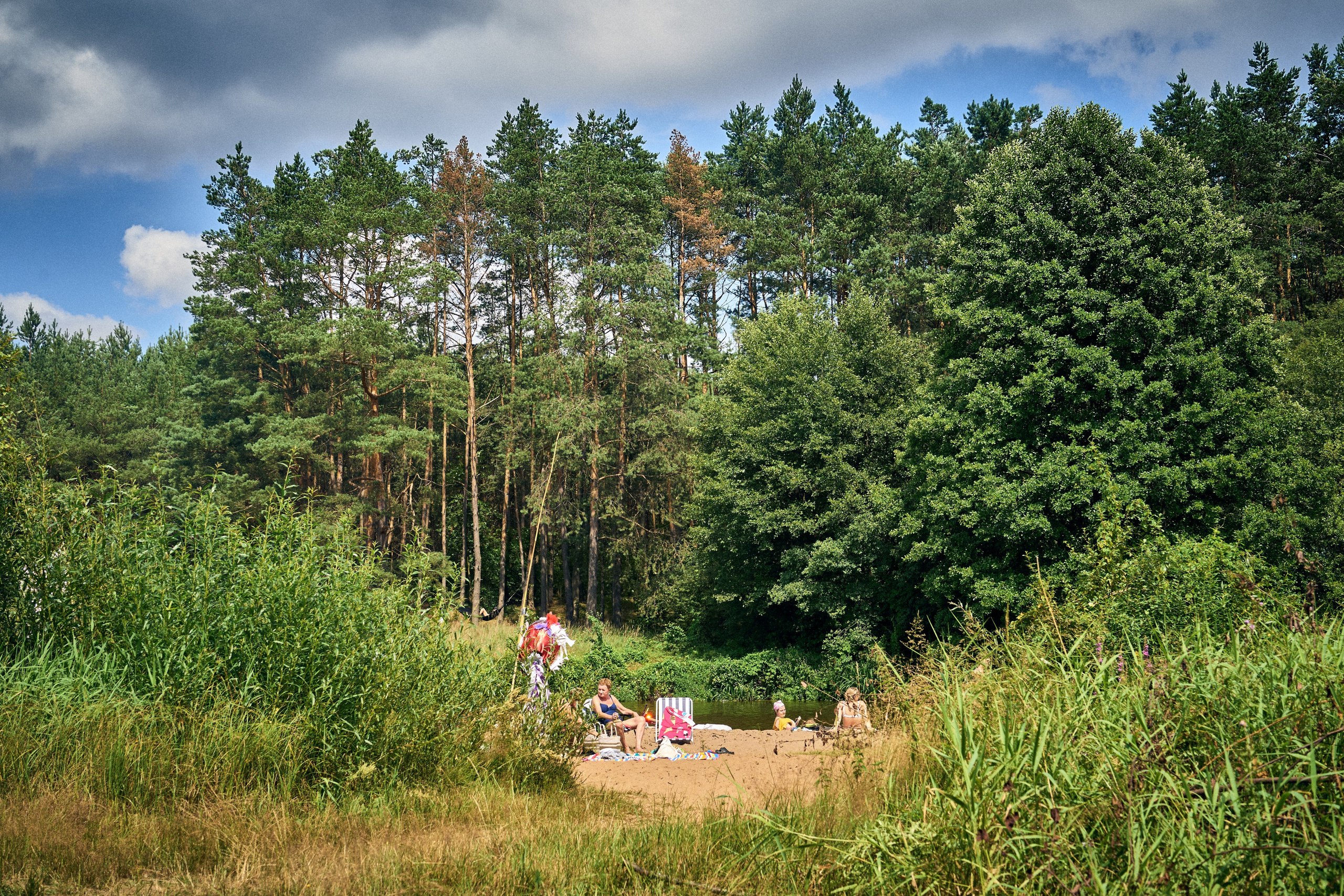 Organic Festival 2024. Андрей Шипилов — Фотография & Видеография