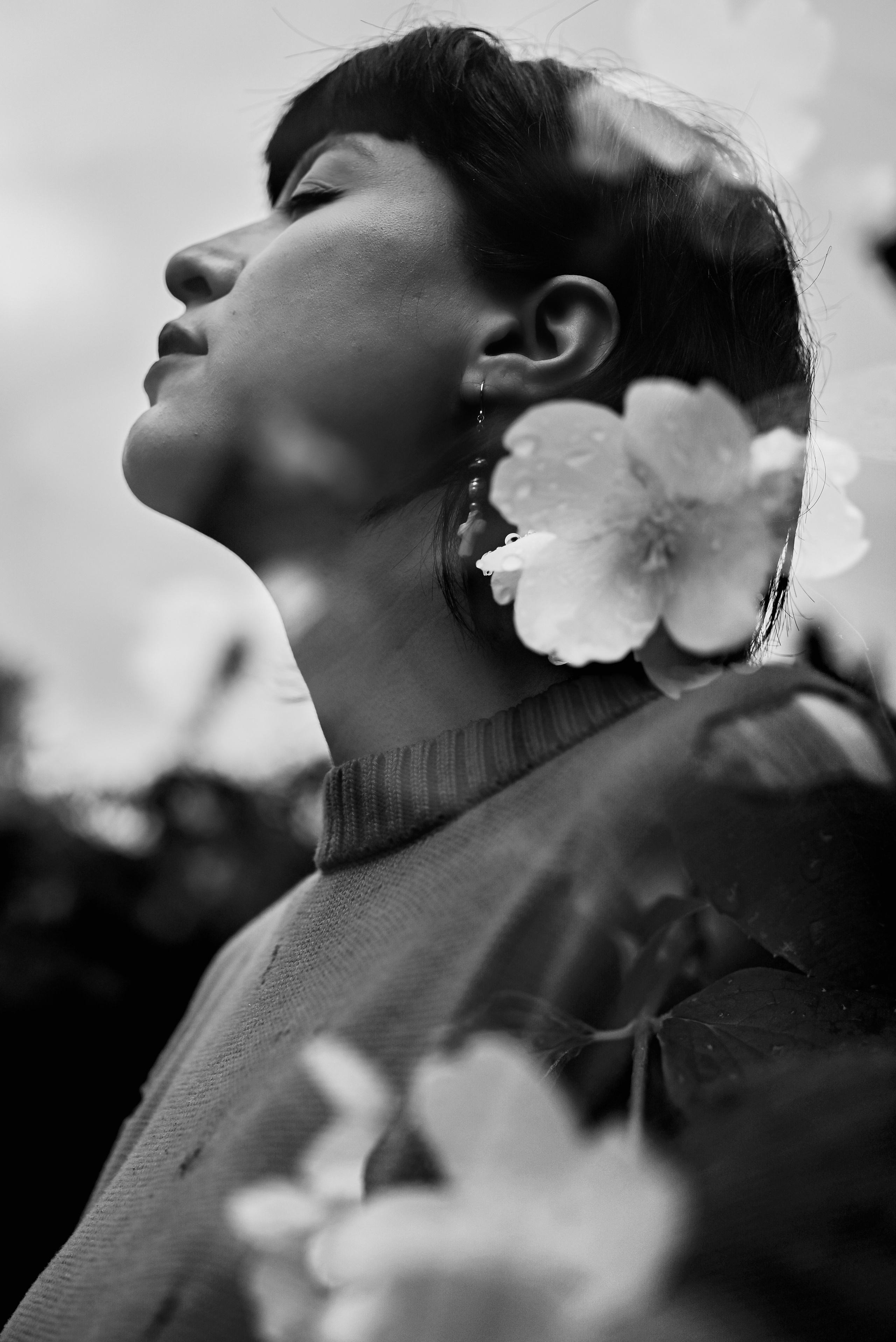 Lilu. Семейный фотограф. Сербия. Нови-Сад. Белград