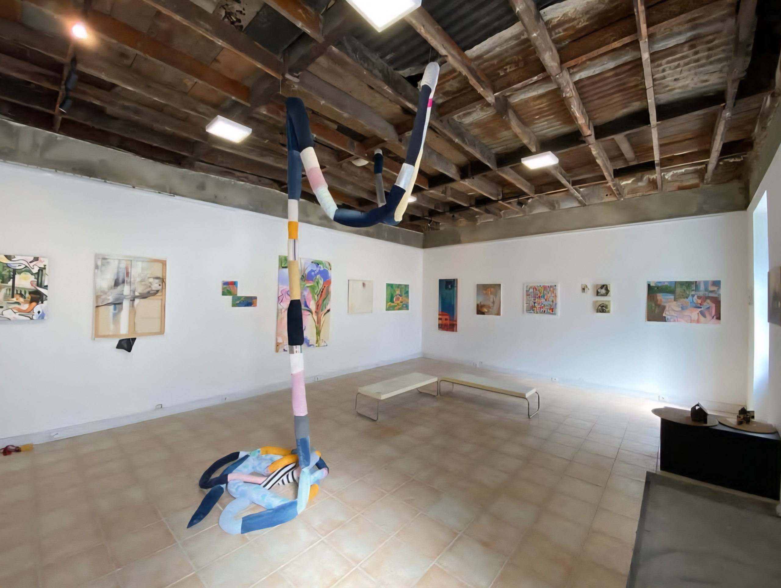 Anamnese. Barbara Cabral