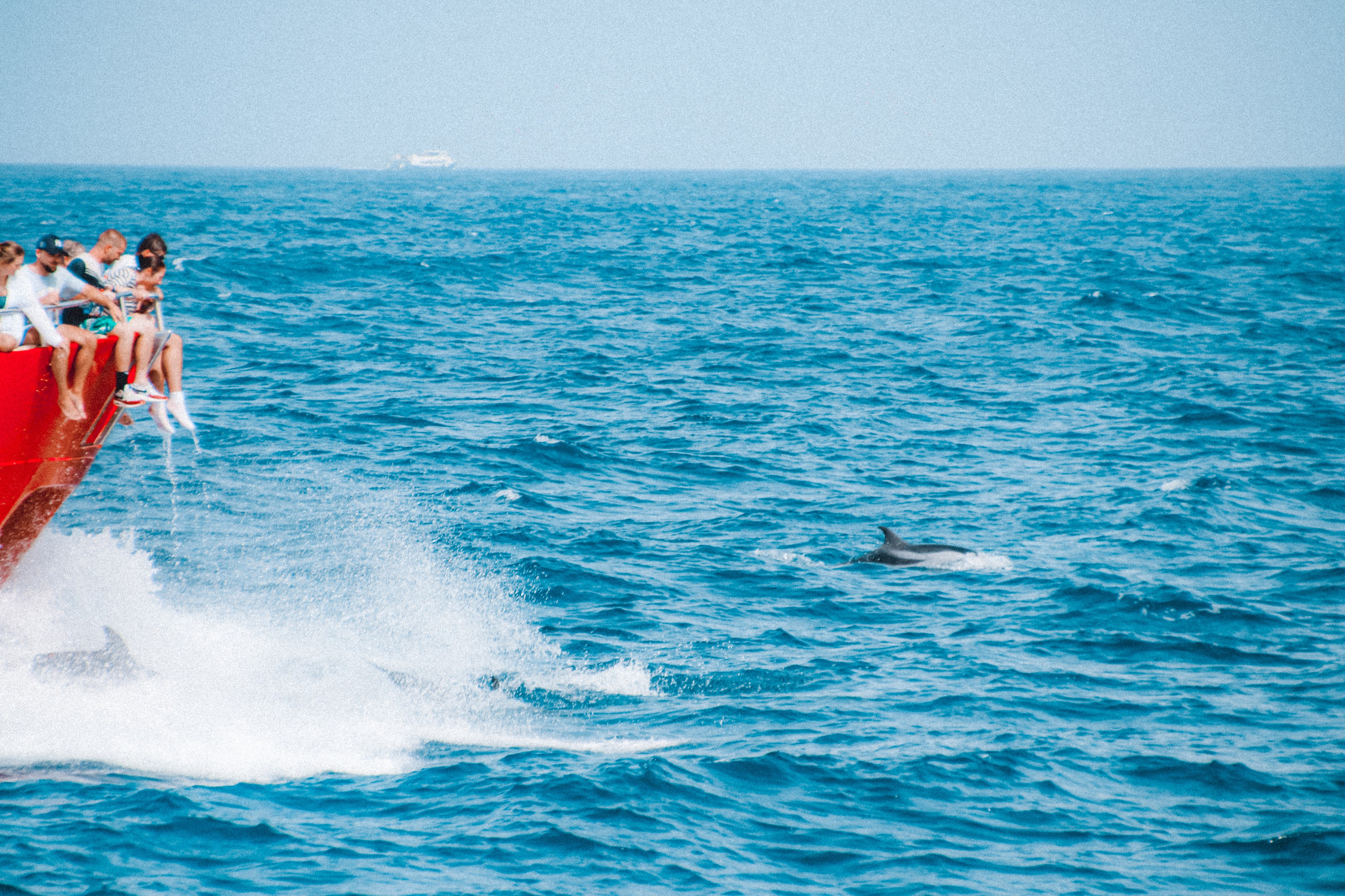 Gran Canaria 2025. Photographer Marina, city of Nuremberg