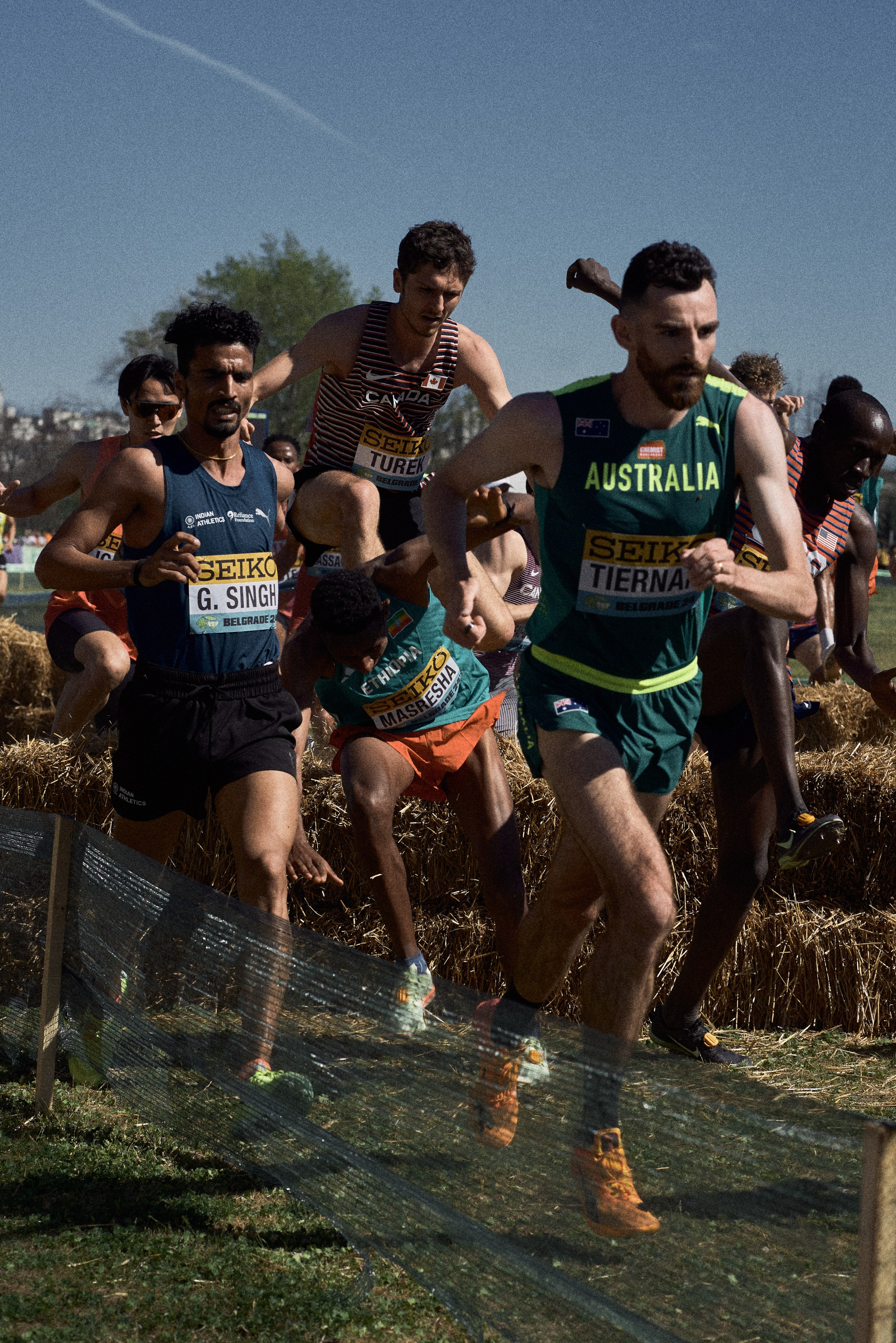 Cross Country Championship 2024 #running. Photographer Evgeniya Dovgalyuk