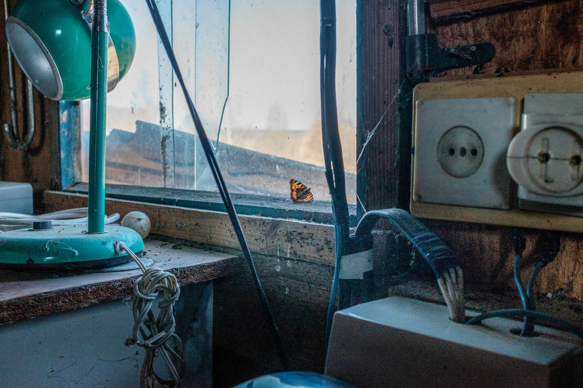 Portraits\Editorial. Documentary photographer, visual artist based in Germany